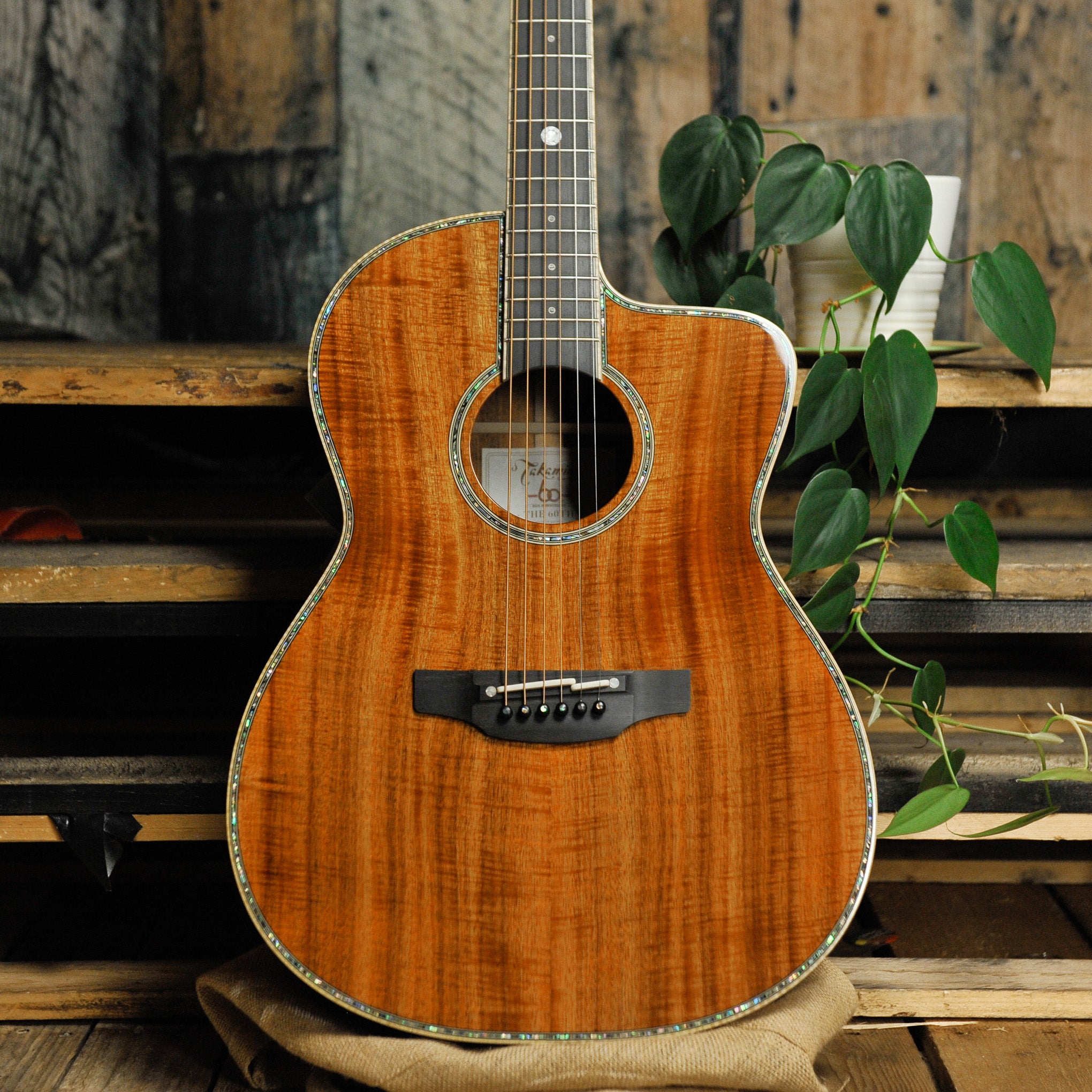 Takamine The 60th Anniversary LTD Acoustic Guitar w/Case