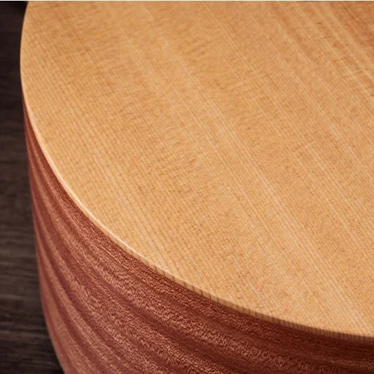Taylor 14CE Spruce Top Grand Auditorium Electric Acoustic w/Bag