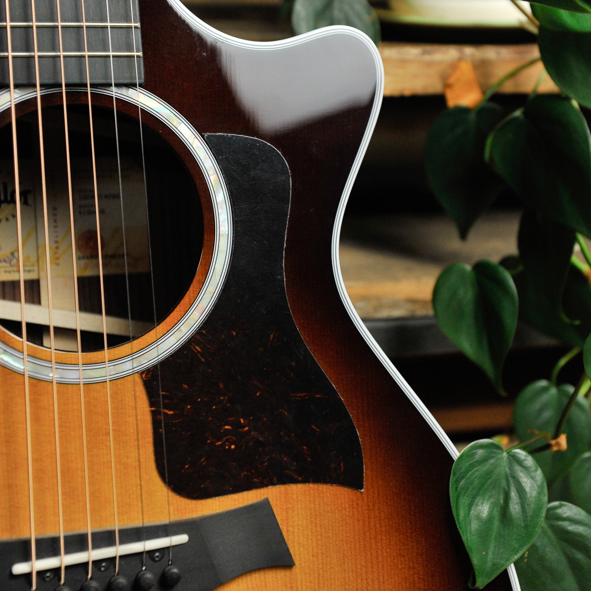 Taylor 412CE Rosewood, Tobacco Sunburst Acoustic