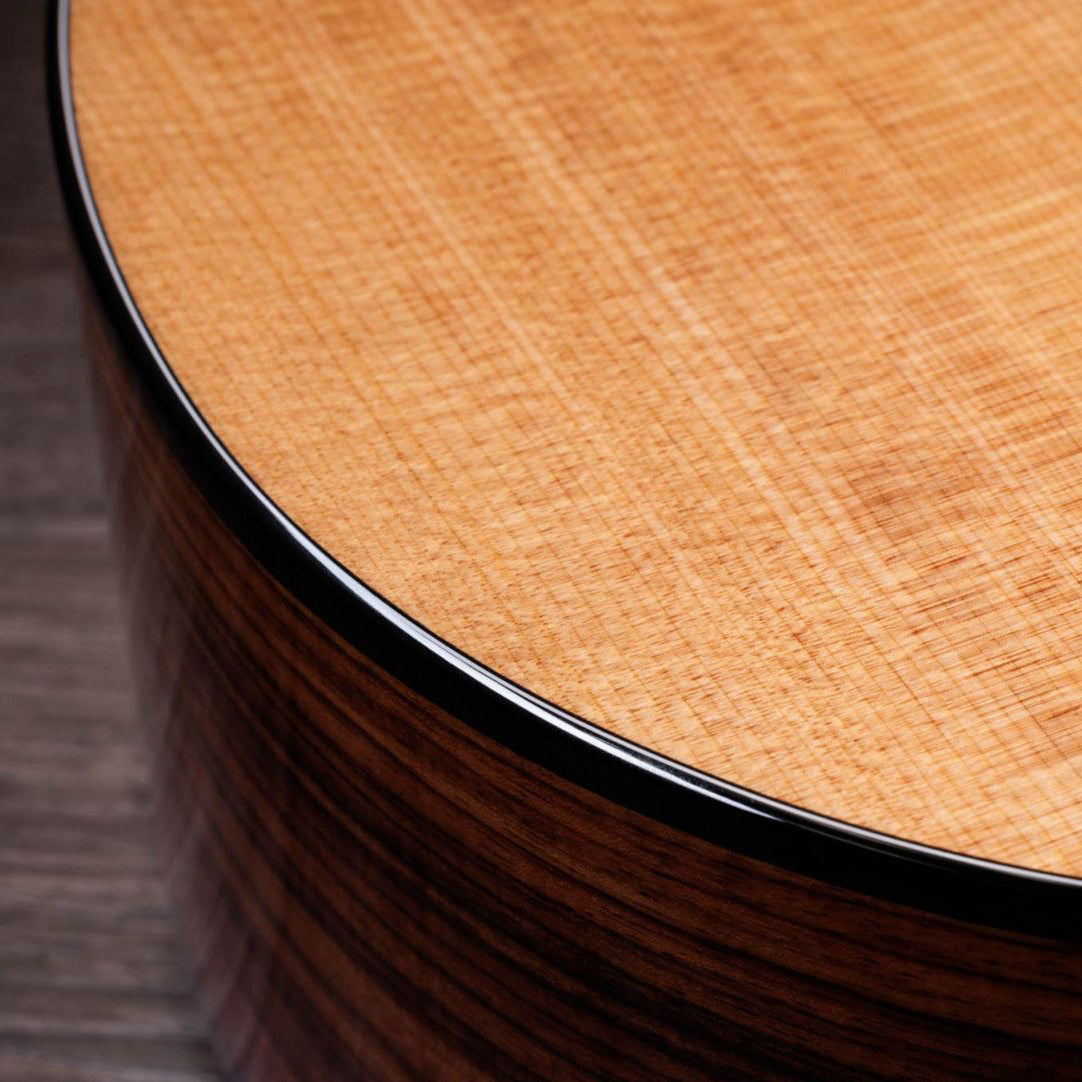 Taylor 254ce Plus Indian Rosewood 12-String Acoustic Guitar