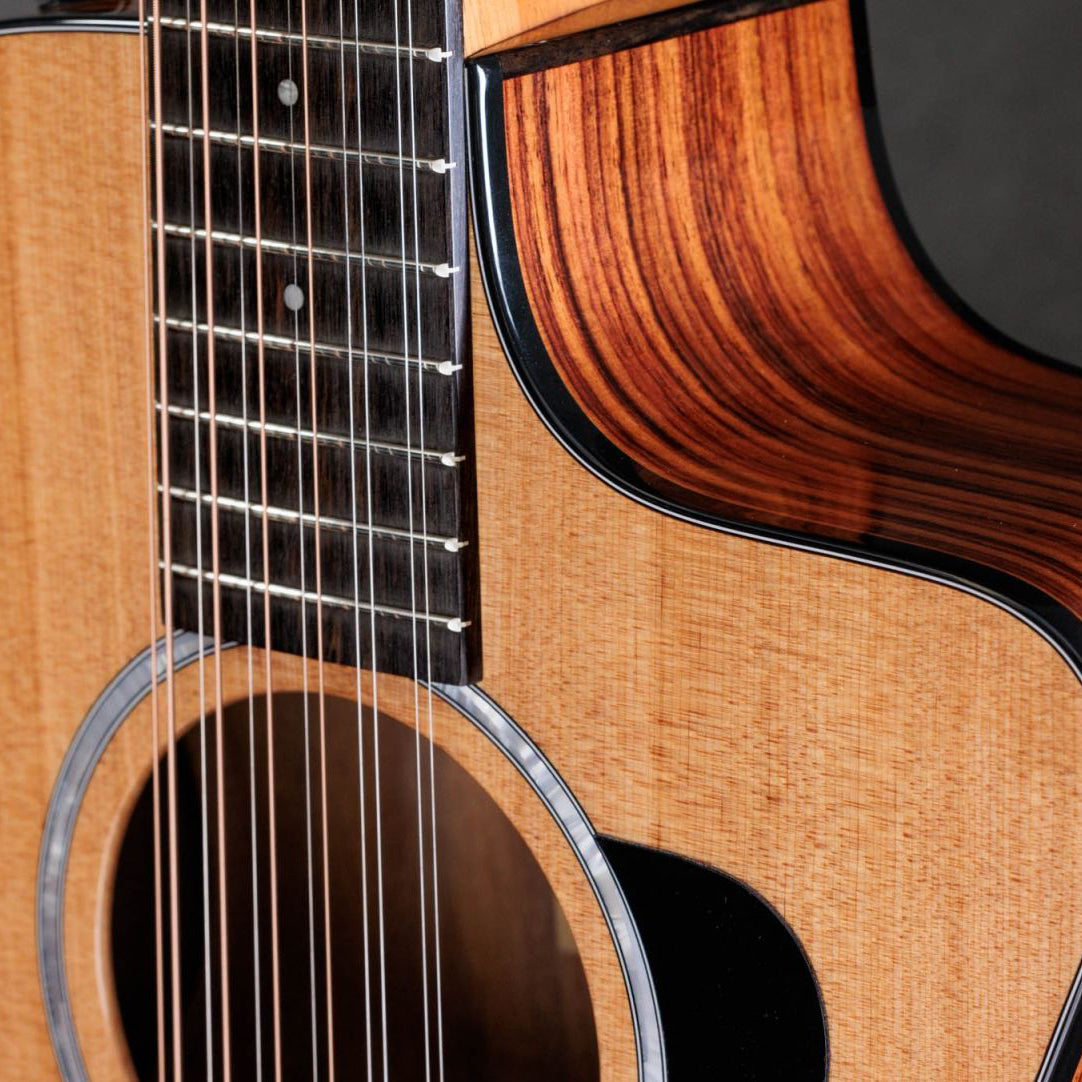 Taylor 254ce Plus Indian Rosewood 12-String Acoustic Guitar