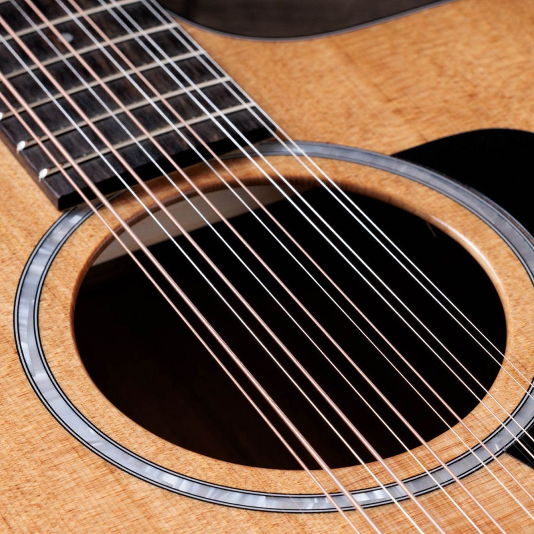 Taylor 254ce Plus Indian Rosewood 12-String Acoustic Guitar