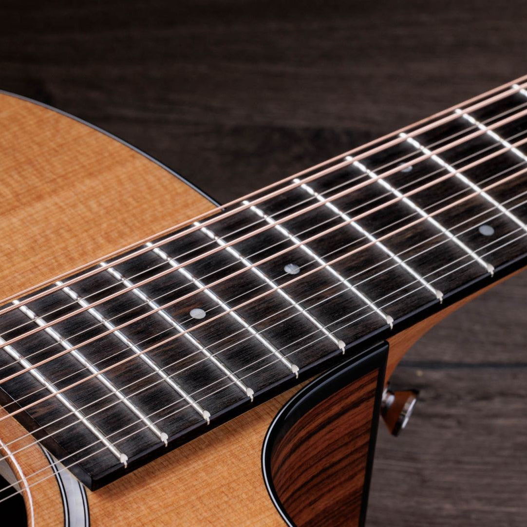 Taylor 254ce Plus Indian Rosewood 12-String Acoustic Guitar
