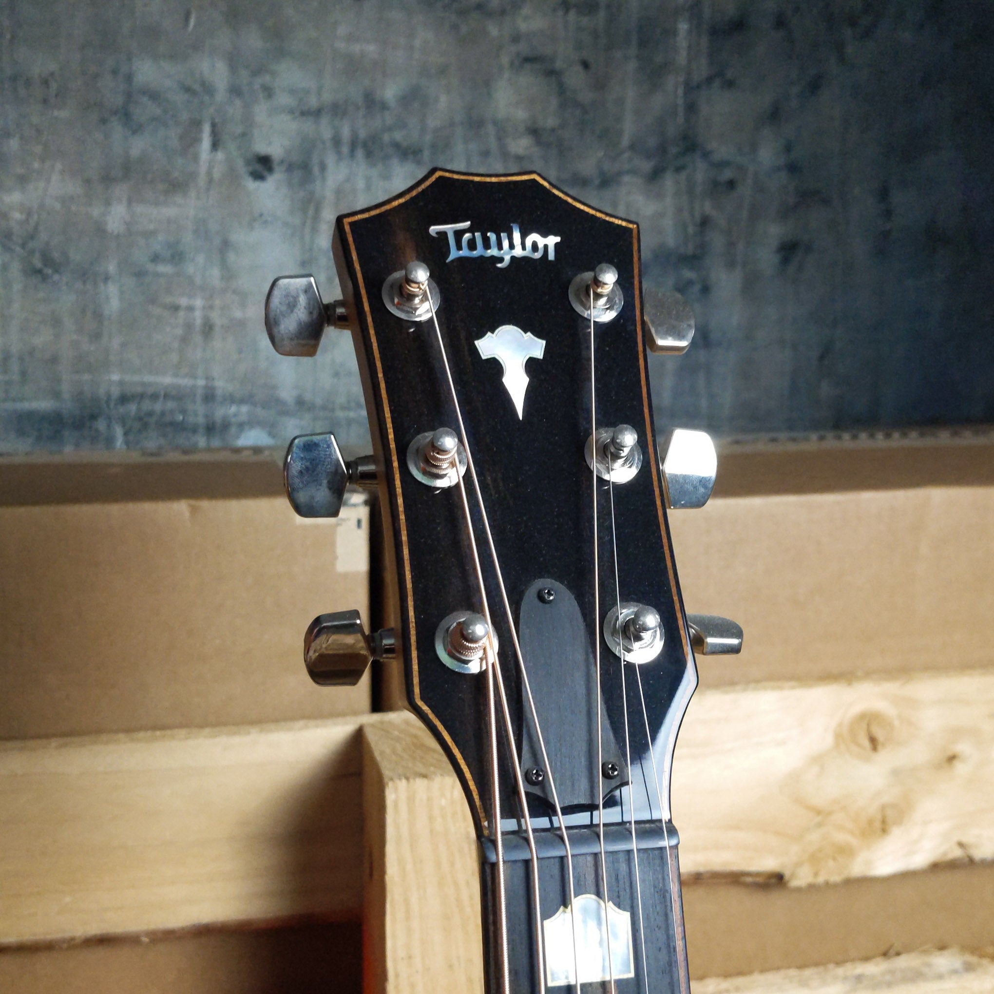 Taylor 618E Grand Orchestra