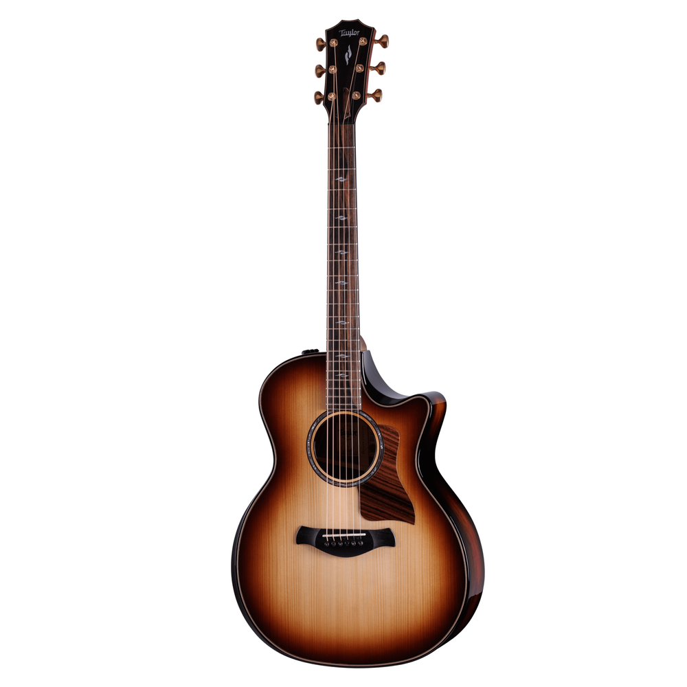 Taylor 814CE Builders Edition Rosewood & Adirondack