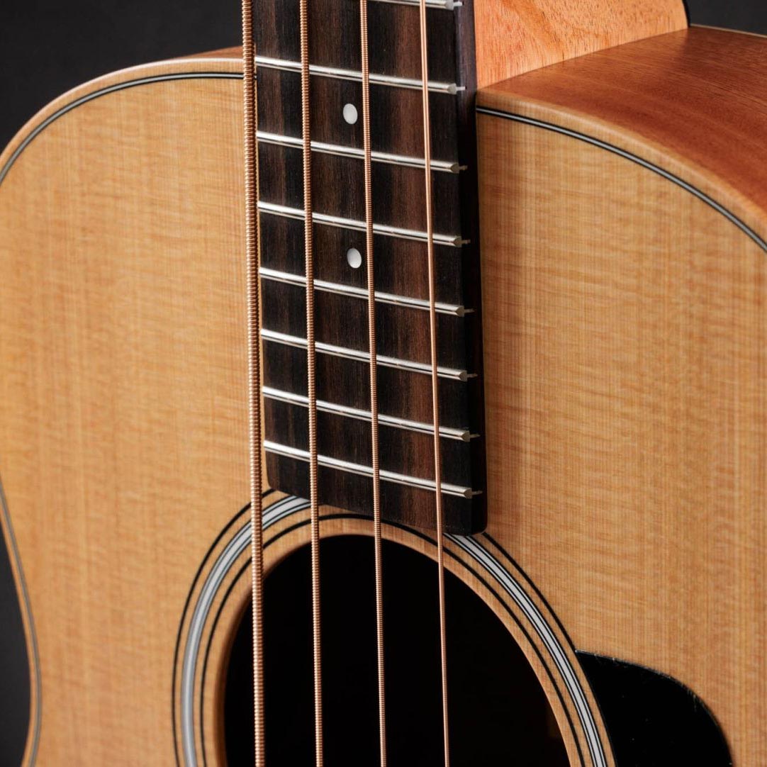 Taylor GS Mini-e Acoustic Bass