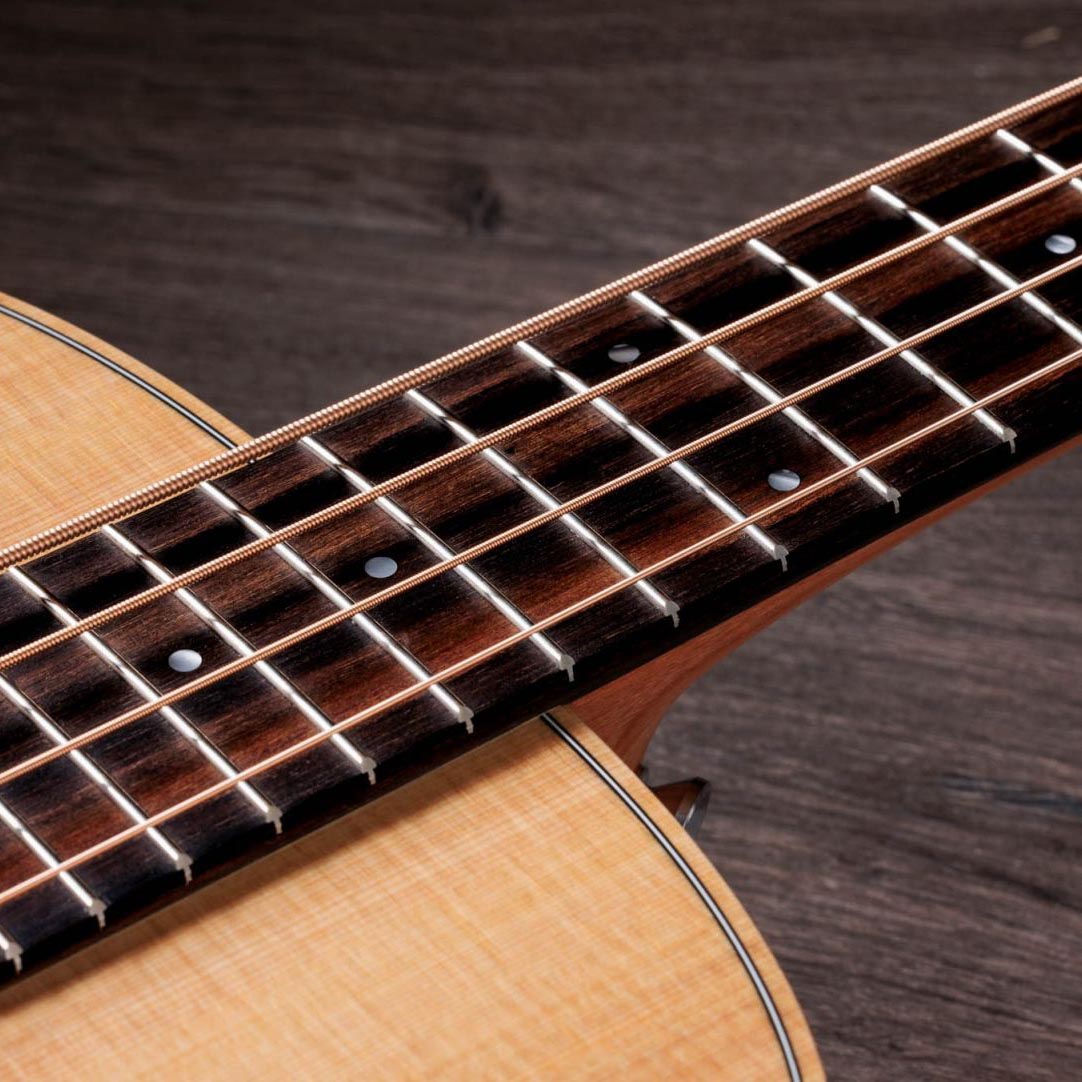 Taylor GS Mini-e Acoustic Bass