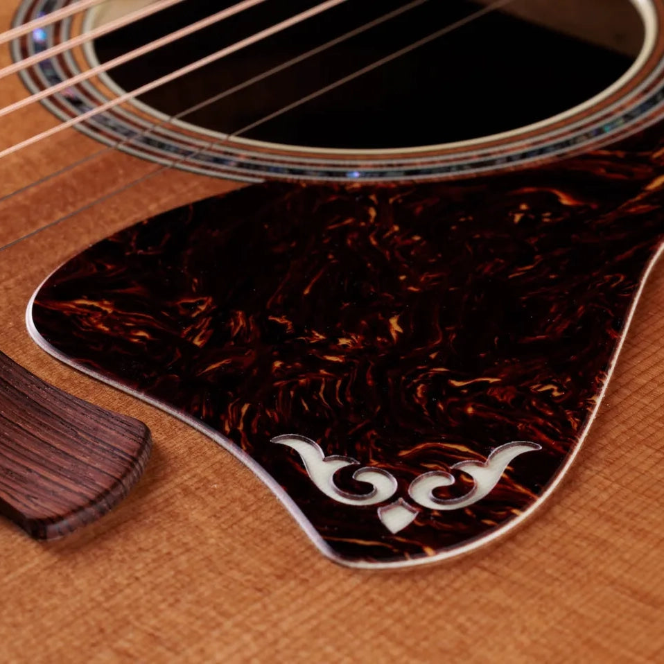 Taylor Gold Label 810e Acoustic Electric Guitar w/Case