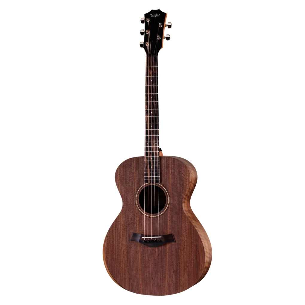 Taylor Jacob Collier Academy 22e 5-String
