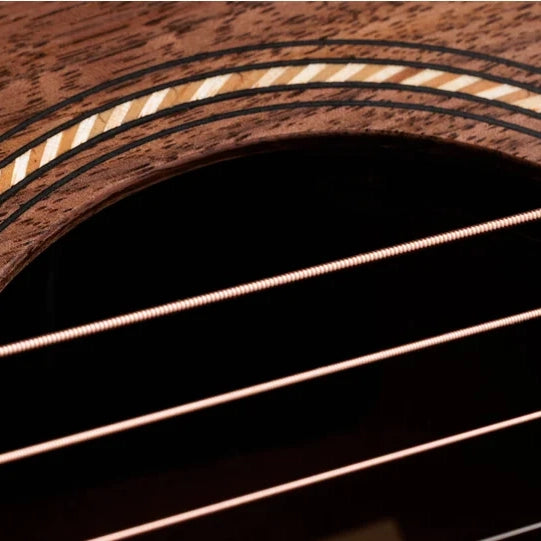 Taylor Jacob Collier Academy 22e 5-String