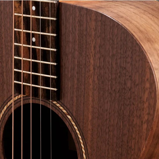 Taylor Jacob Collier Academy 22e 5-String