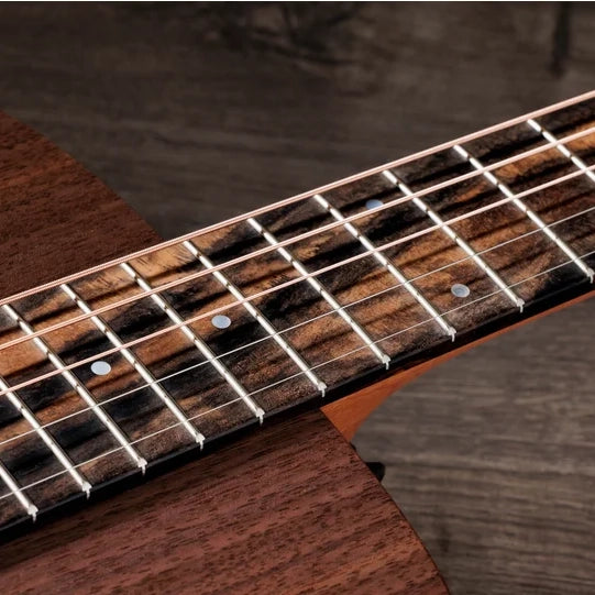 Taylor Jacob Collier Academy 22e 5-String