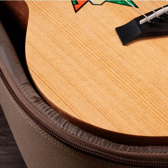 Taylor Jacob Collier GS Mini 5-String Acoustic Guitar