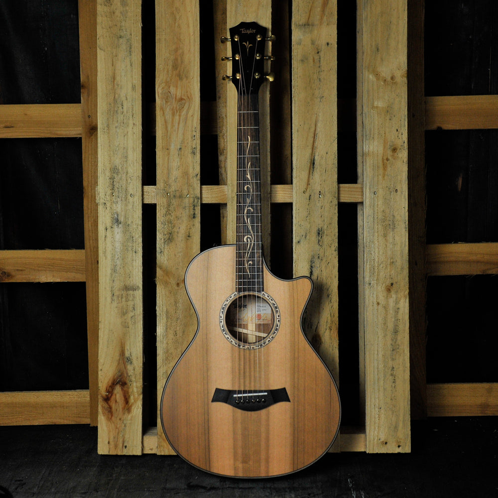 Taylor Custom C12ce 12-Fret #13 Honduran Rosewood/Cedar w/Case