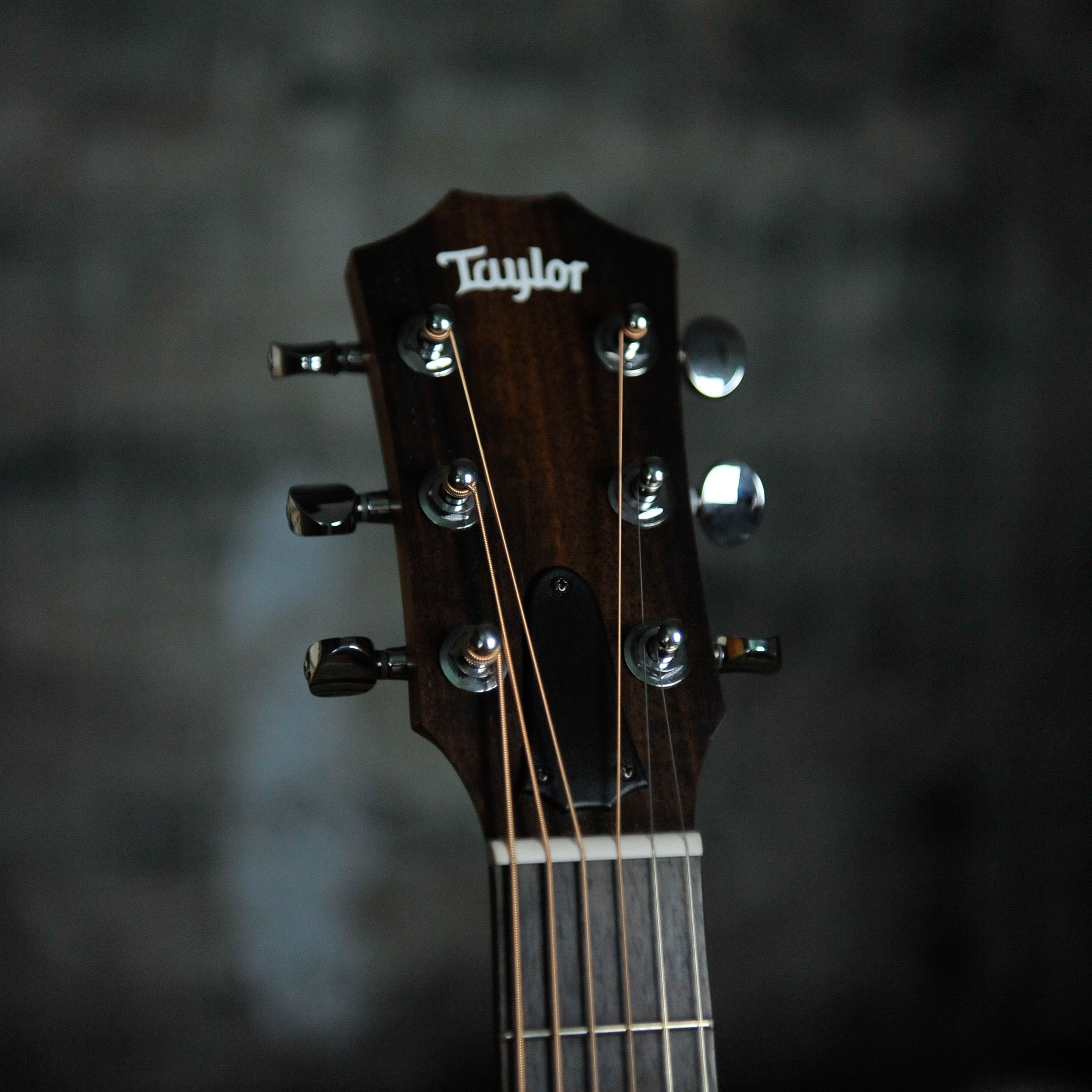 Taylor GS Mini-e Special Edition Dragon