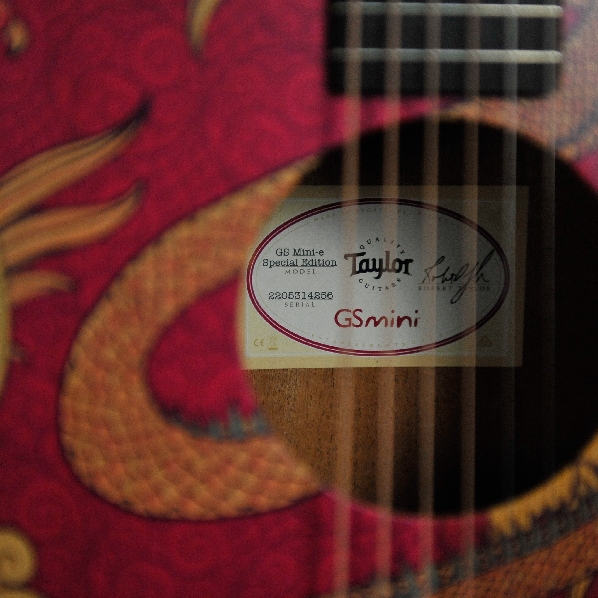 Taylor GS Mini-e Special Edition Dragon