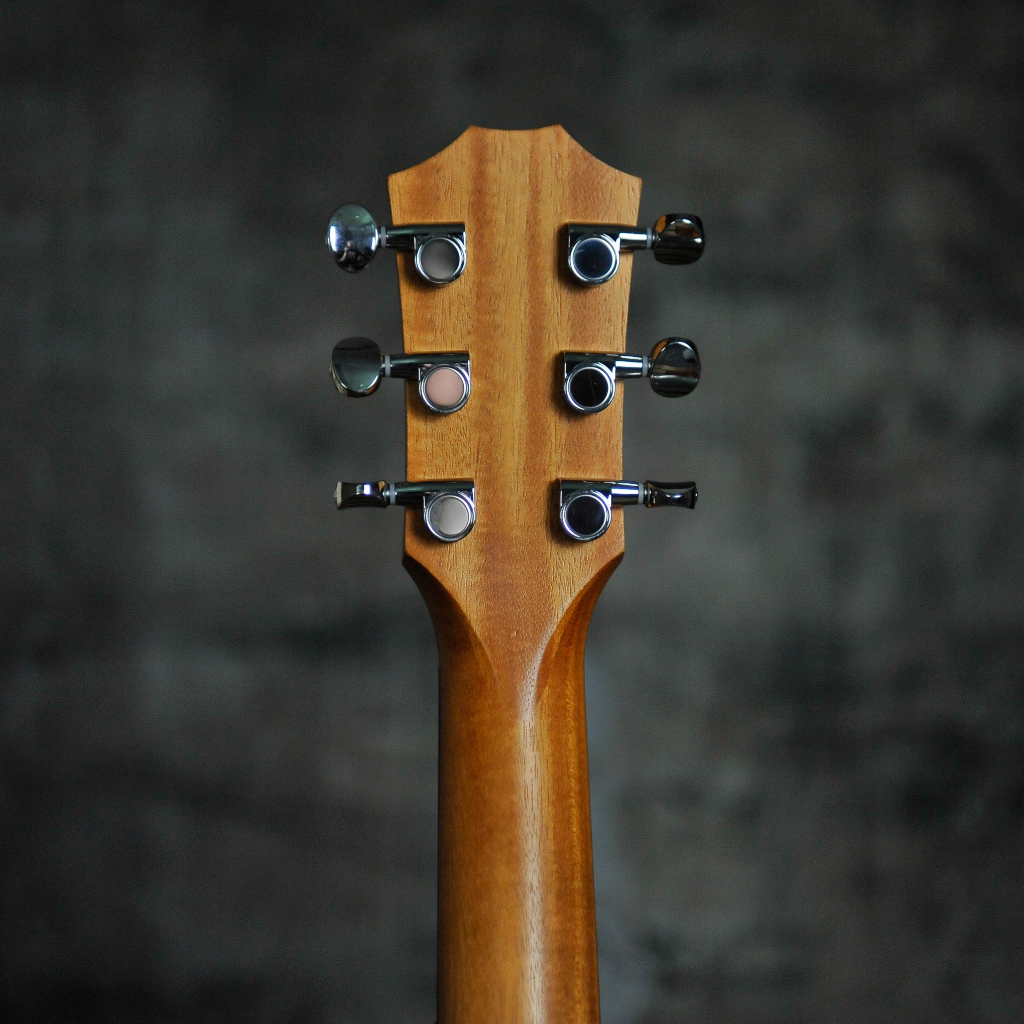 Taylor GS Mini-e Special Edition Dragon