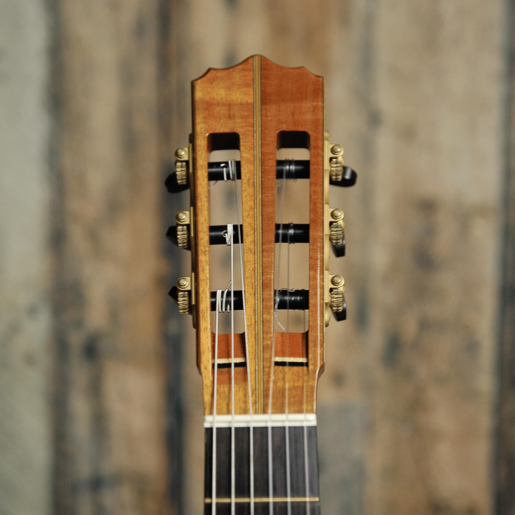 Trevor Gore Classical Guitar-Spruce/Blackwood - Used