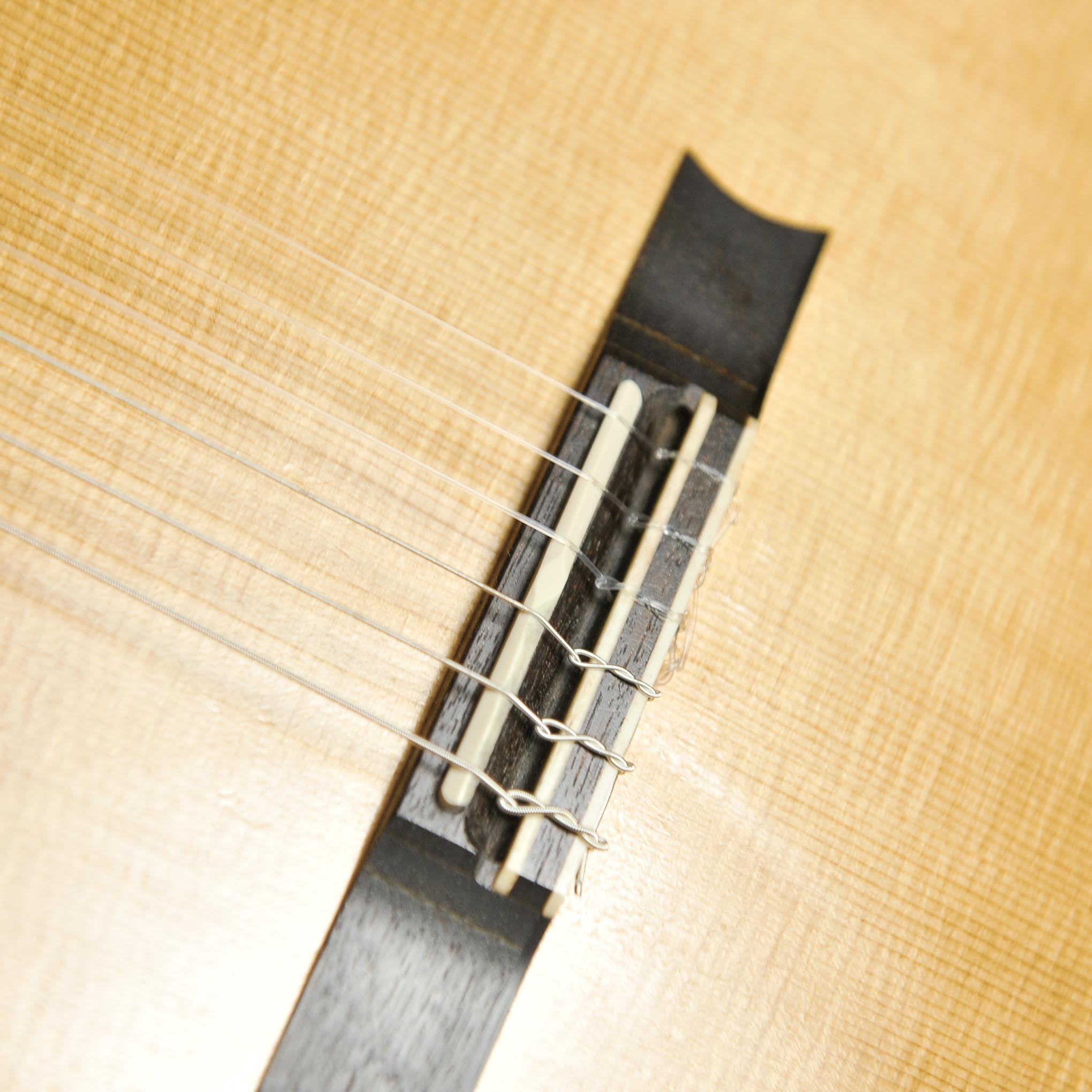 Trevor Gore Classical Guitar-Spruce/Blackwood - Used