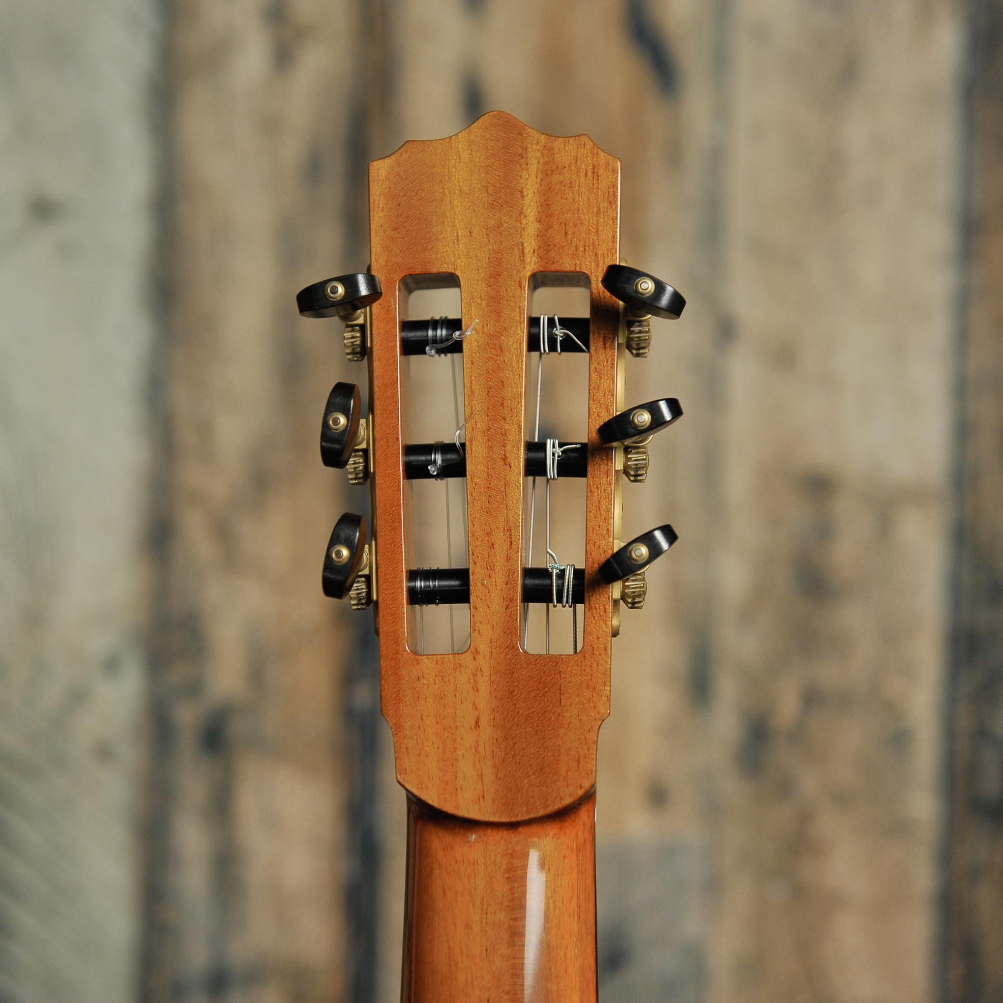 Trevor Gore Classical Guitar-Spruce/Blackwood - Used