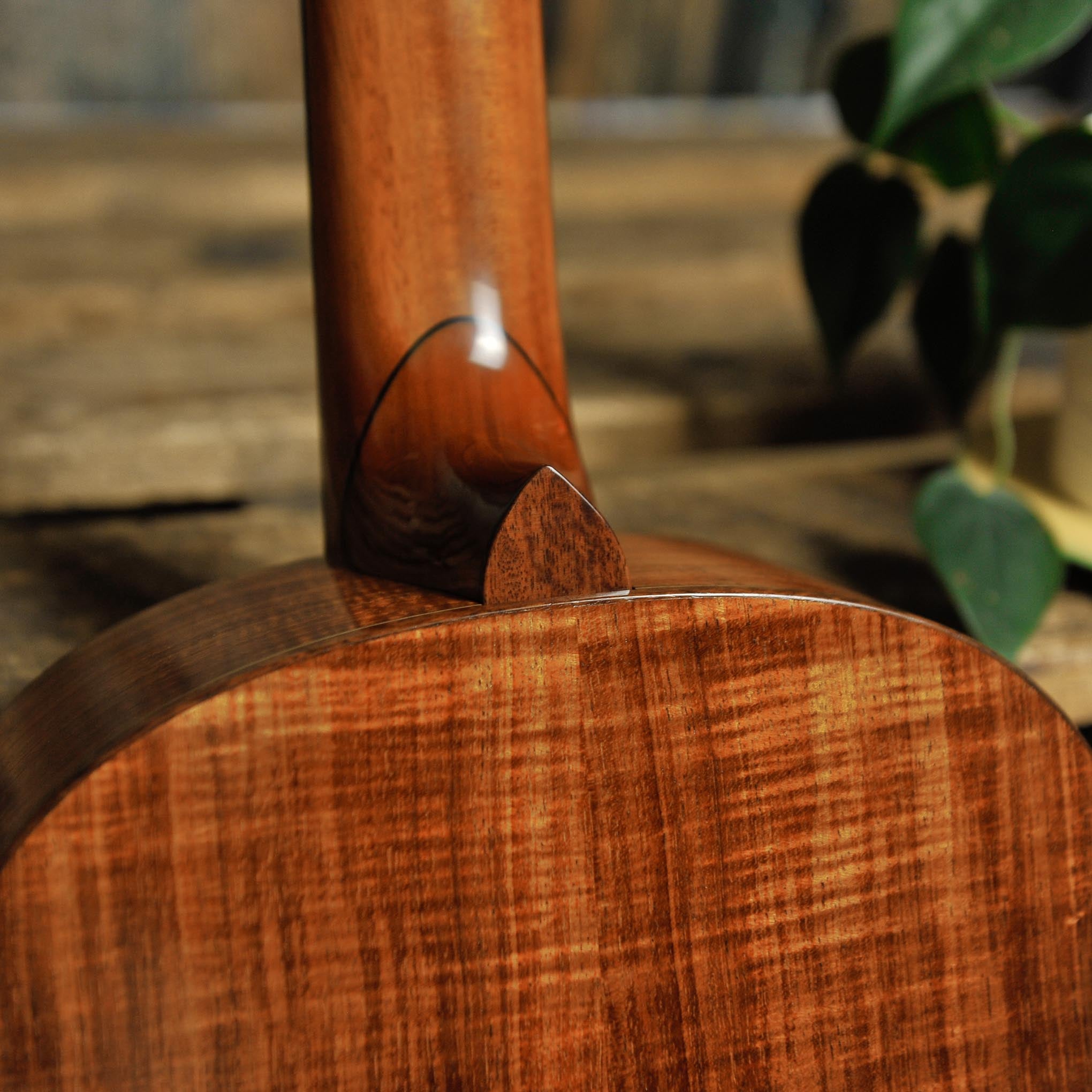 Trevor Gore Classical Guitar-Spruce/Blackwood - Used