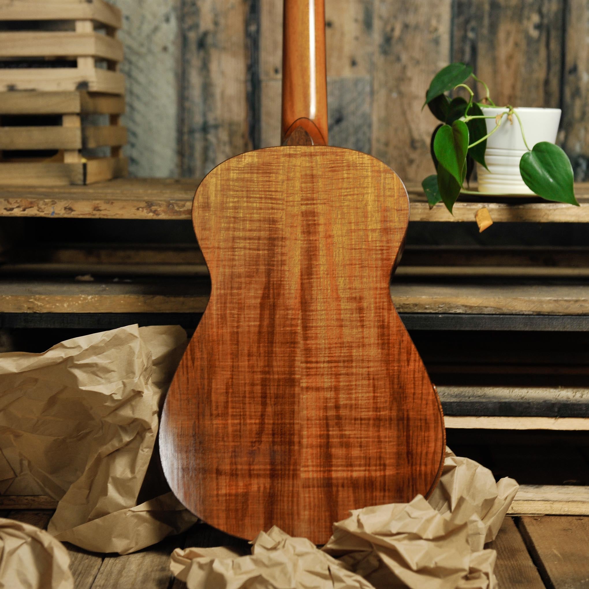 Trevor Gore Classical Guitar-Spruce/Blackwood - Used