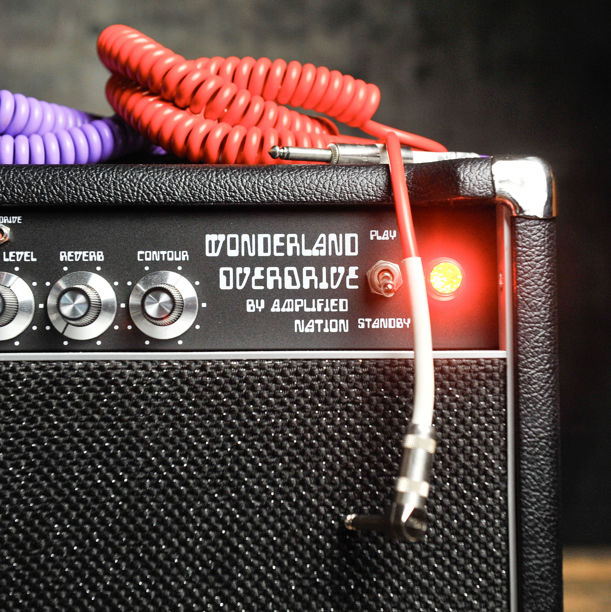 Amplified Nation Wonderland Overdrive 50W Head w/Matching 112 Cab - Used