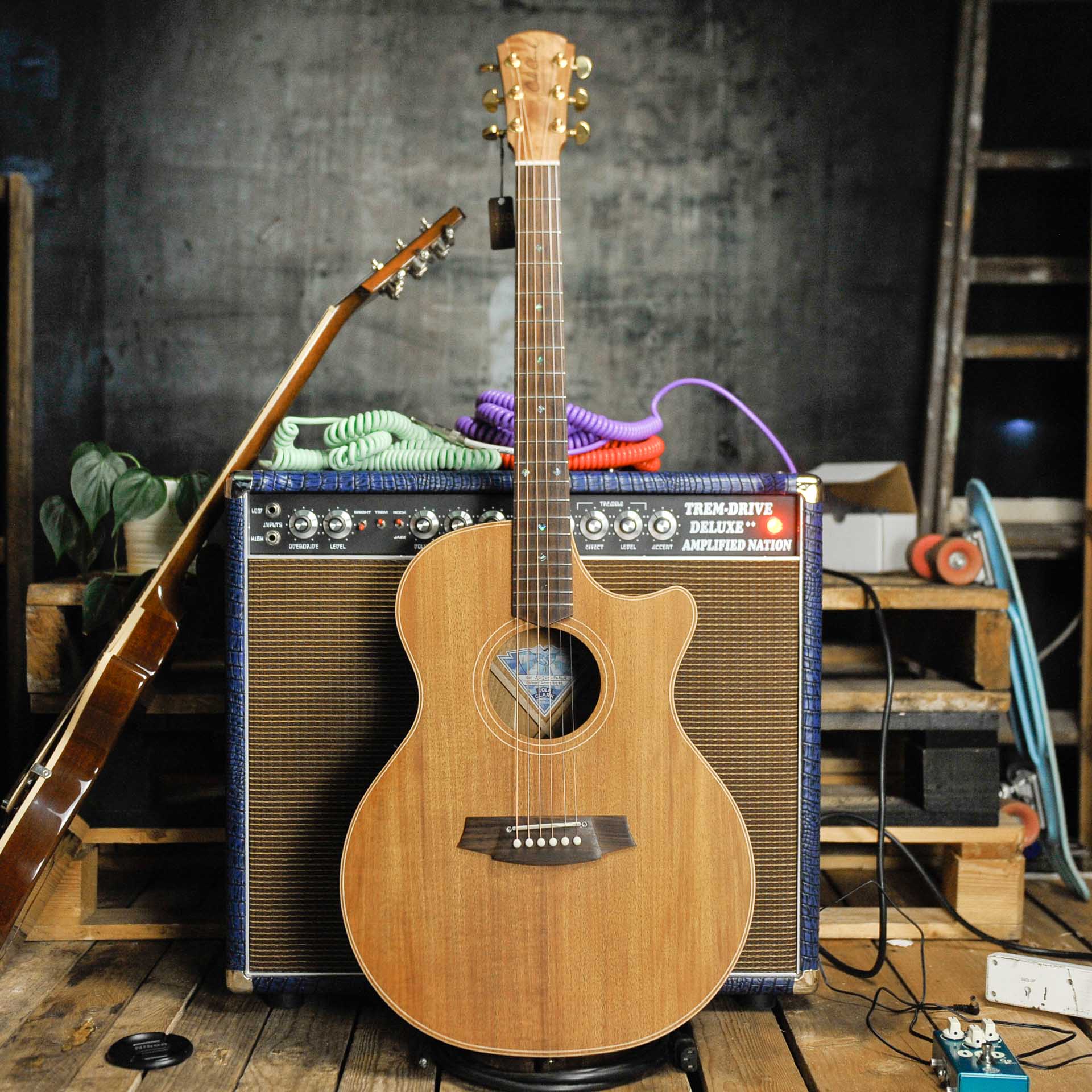 Cole Clark AN2EC BL BL Blackwood Acoustic Guitar w/Case - Used