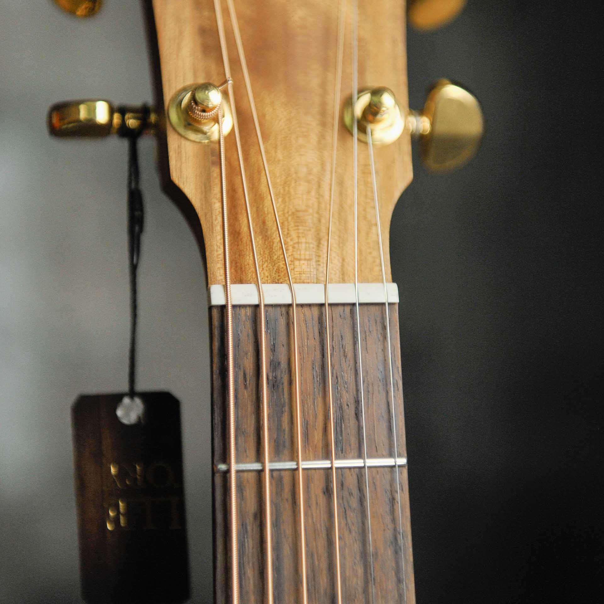 Cole Clark AN2EC BL BL Blackwood Acoustic Guitar w/Case - Used