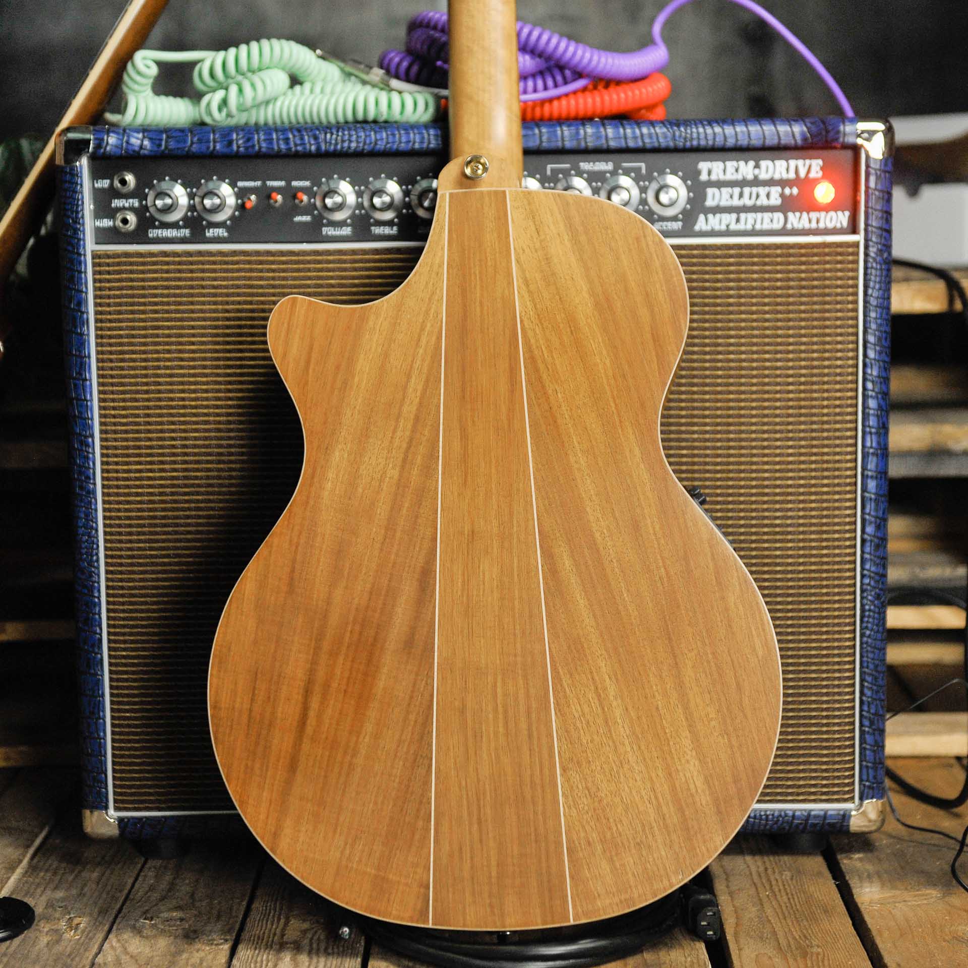 Cole Clark AN2EC BL BL Blackwood Acoustic Guitar w/Case - Used