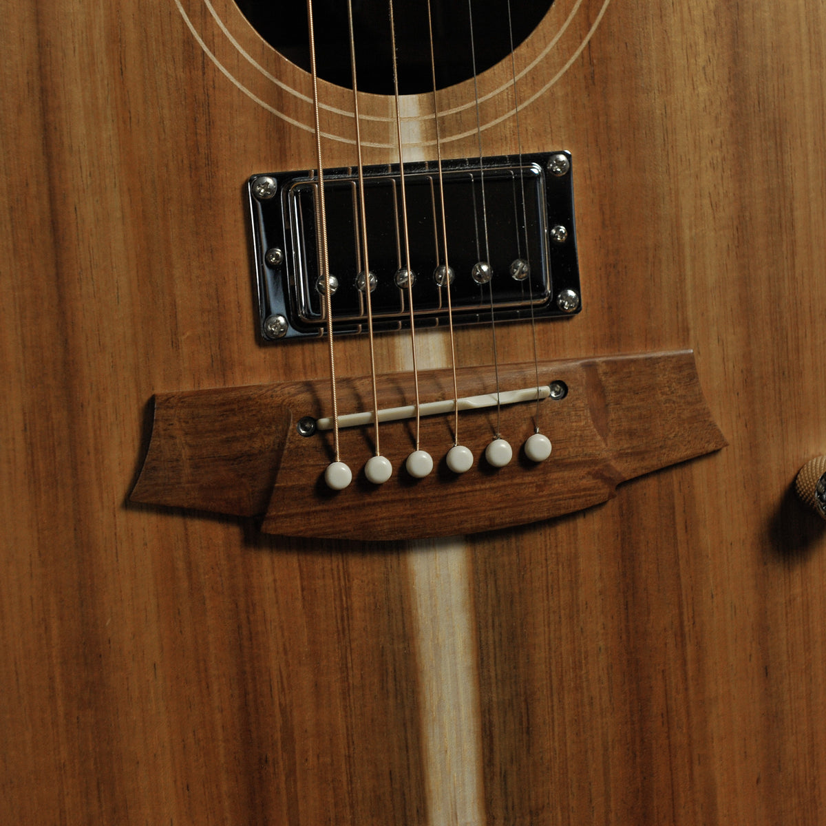Cole Clark FL2EC-BLBL-HUM All Blackwood Acoustic w/Case - Used