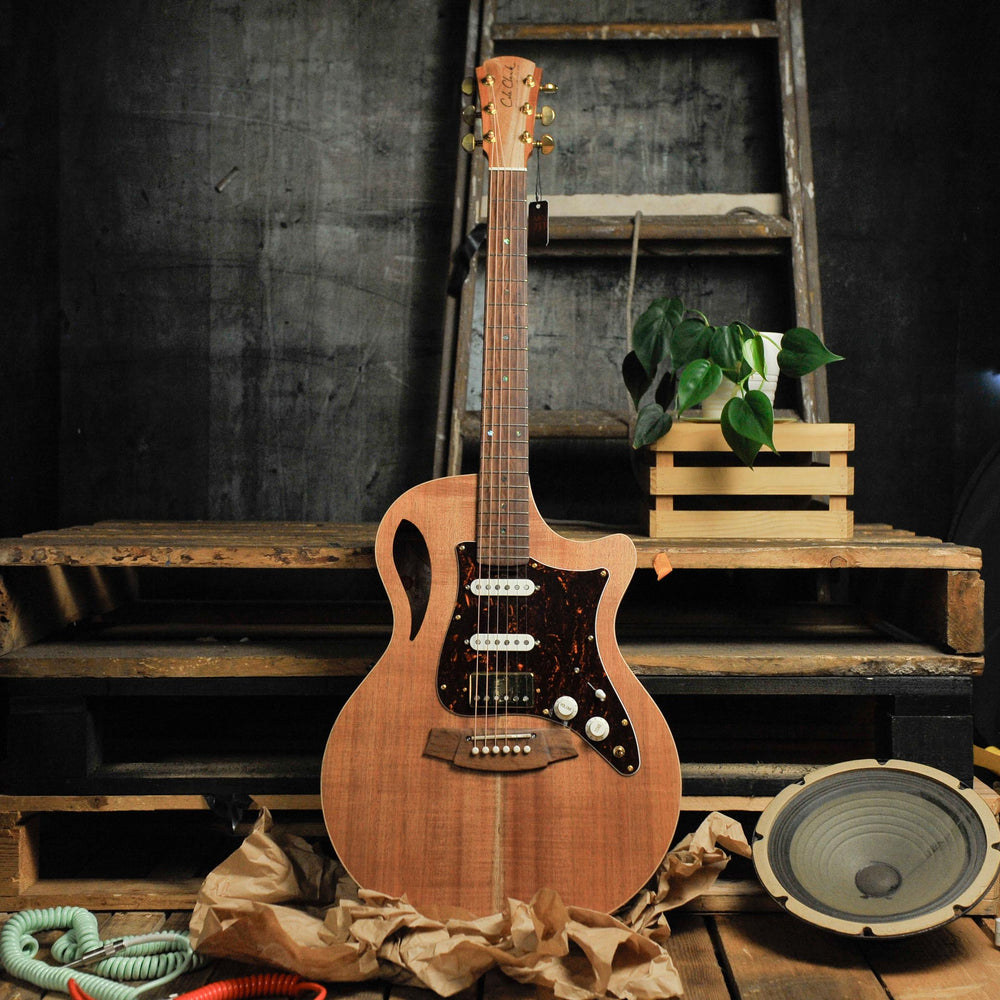 Cole Clark TL2EC-BLBL-HSS True Hybrid Thinline Blackwood - Used