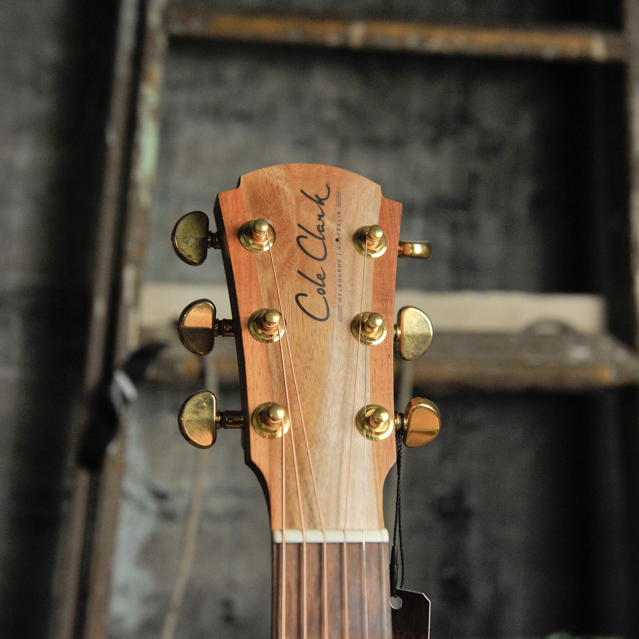 Cole Clark TL2EC-BLBL-HSS True Hybrid Thinline Blackwood - Used