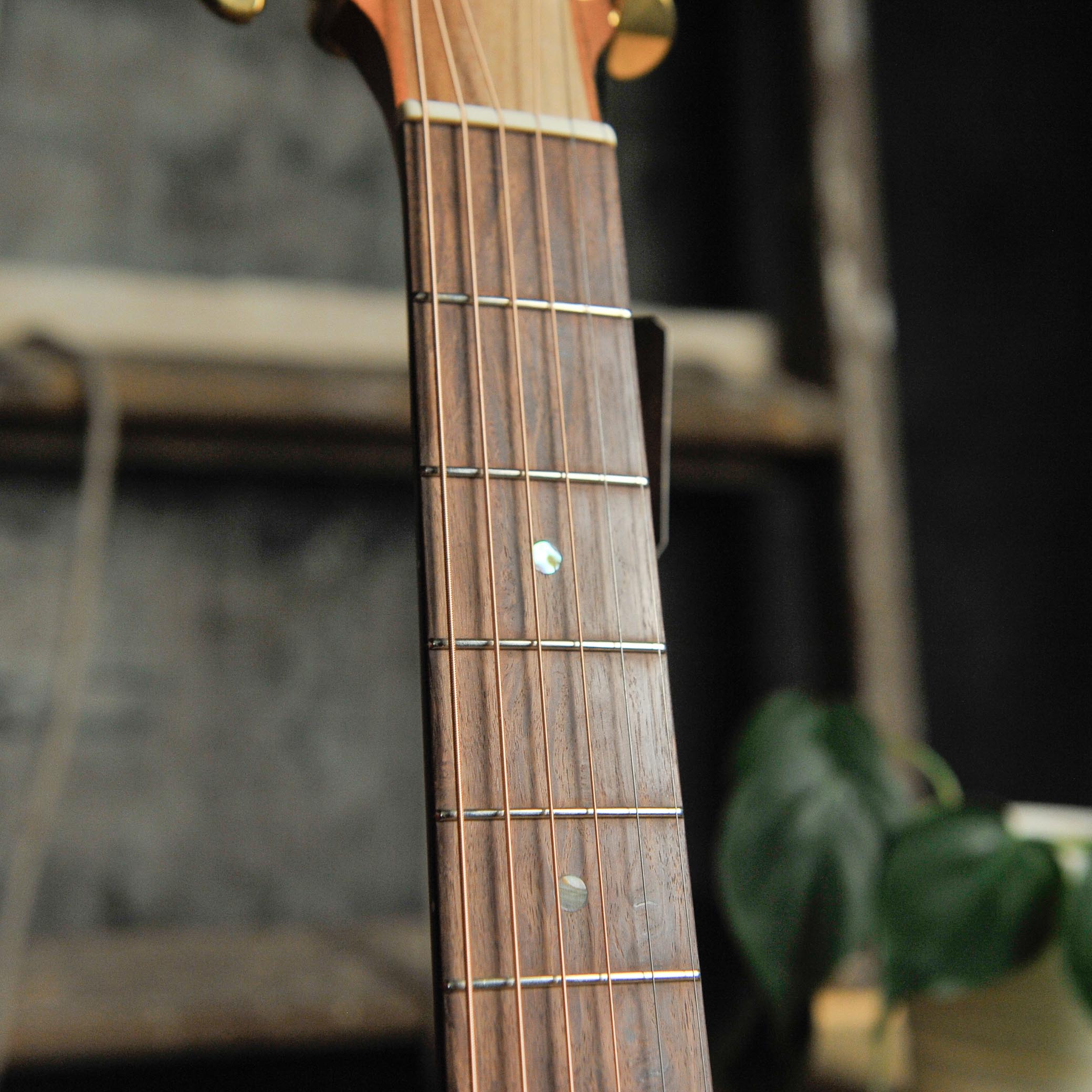 Cole Clark TL2EC-BLBL-HSS True Hybrid Thinline Blackwood - Used