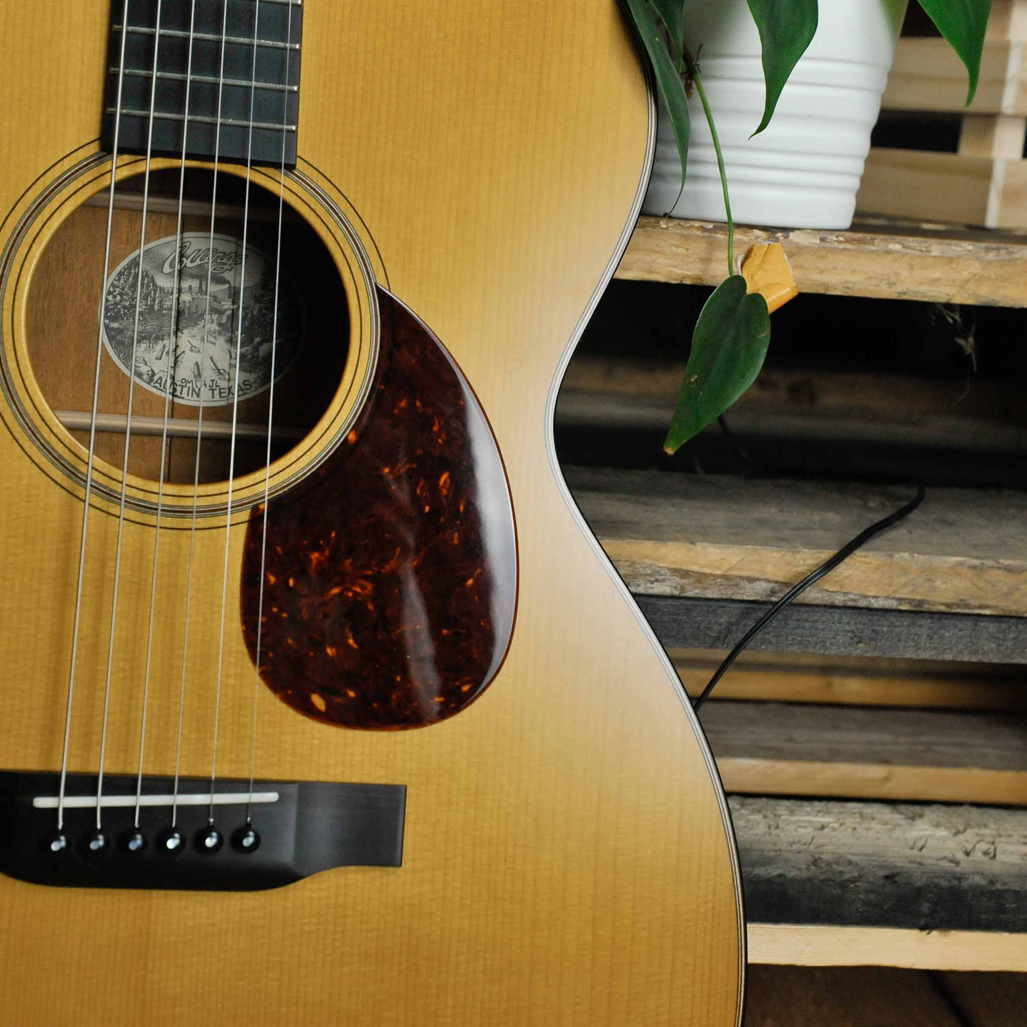 Collings OM1A Julian Lage Signature Adirondak Top w/Case - Used