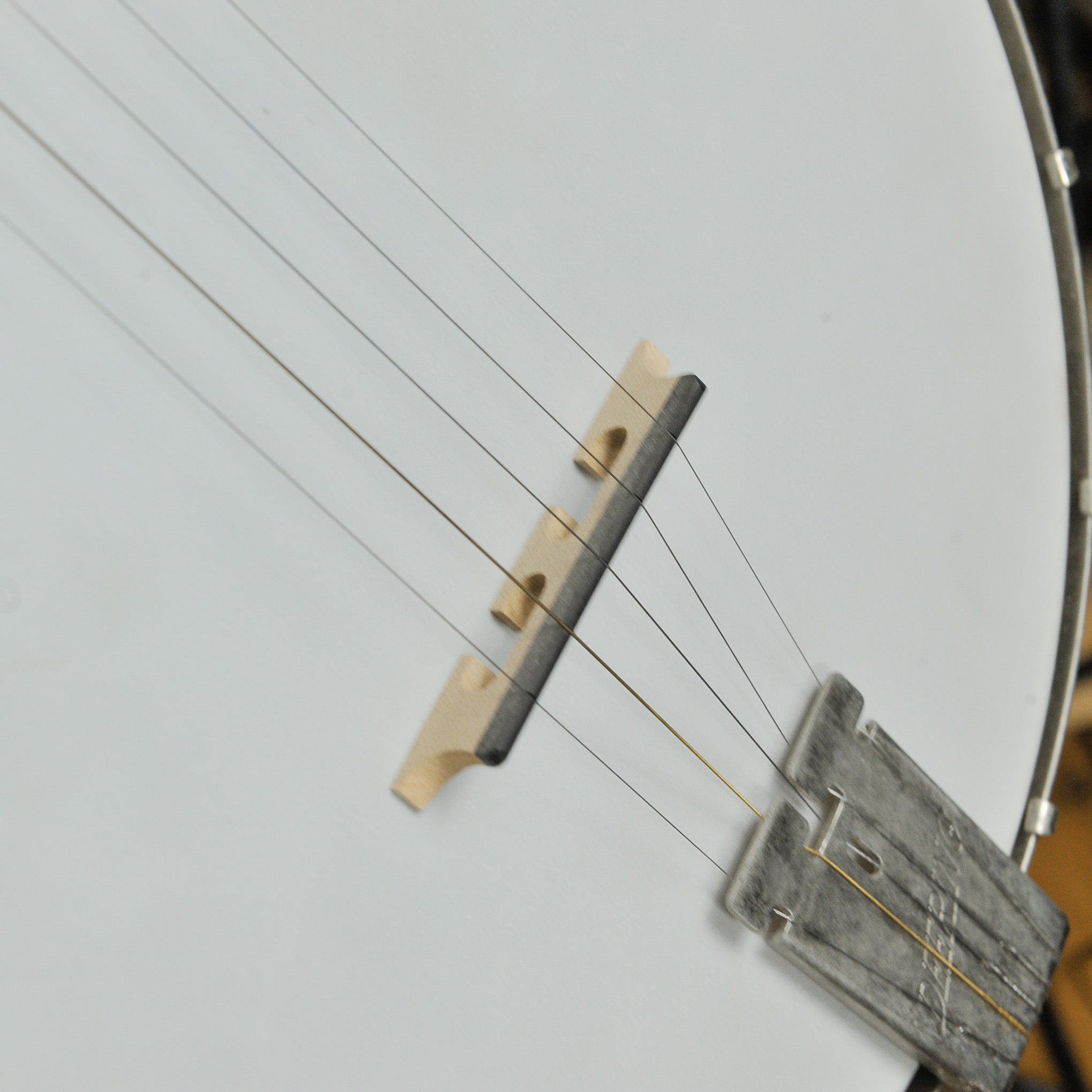 Deering Goodtime Special 5-string Banjo w/Case - Used