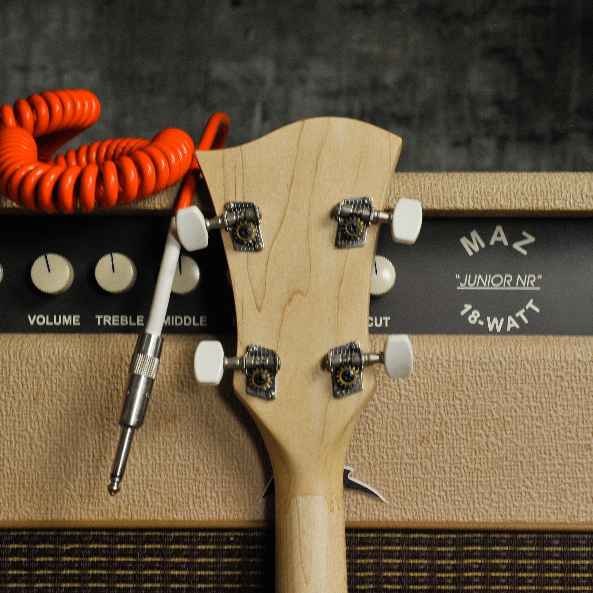 Deering Goodtime Special 5-string Banjo w/Case - Used