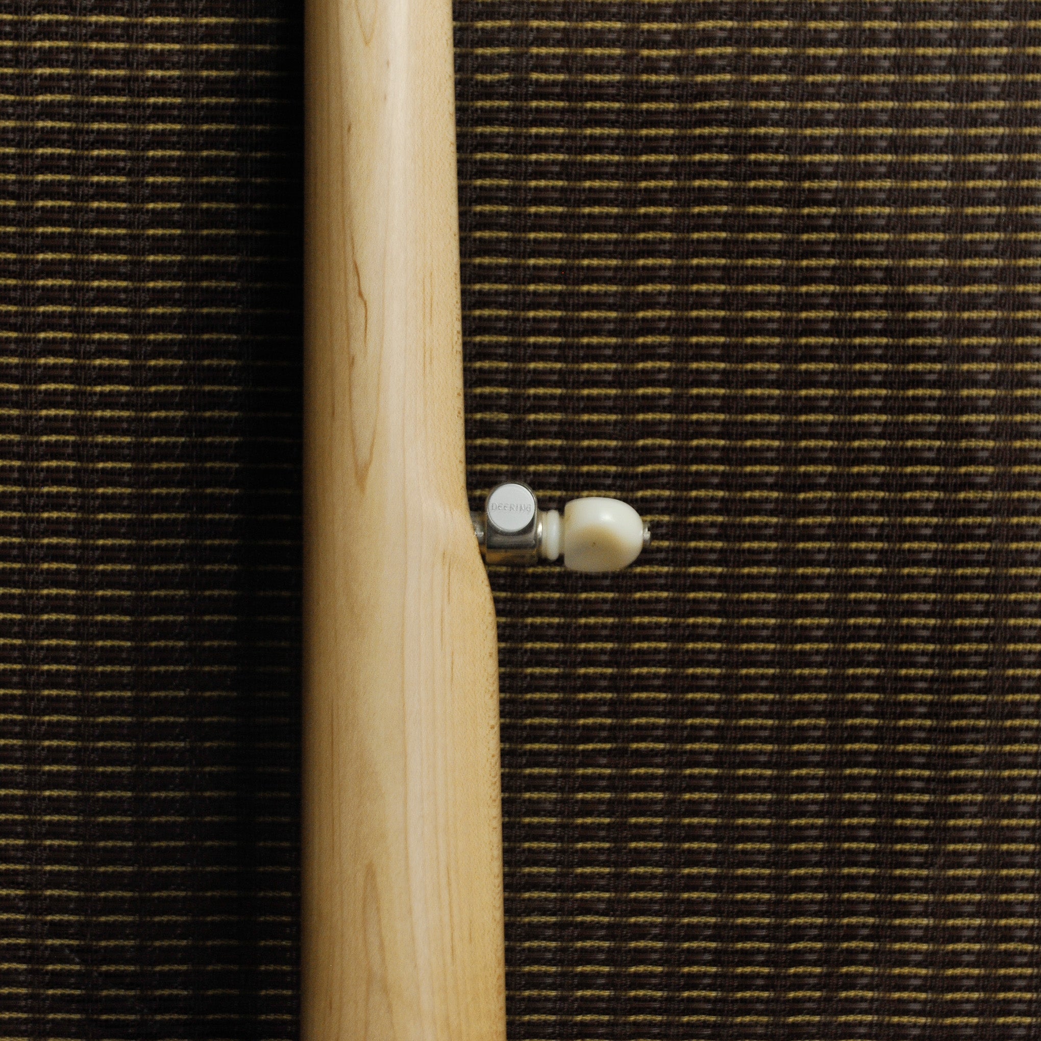 Deering Goodtime Special 5-string Banjo w/Case - Used