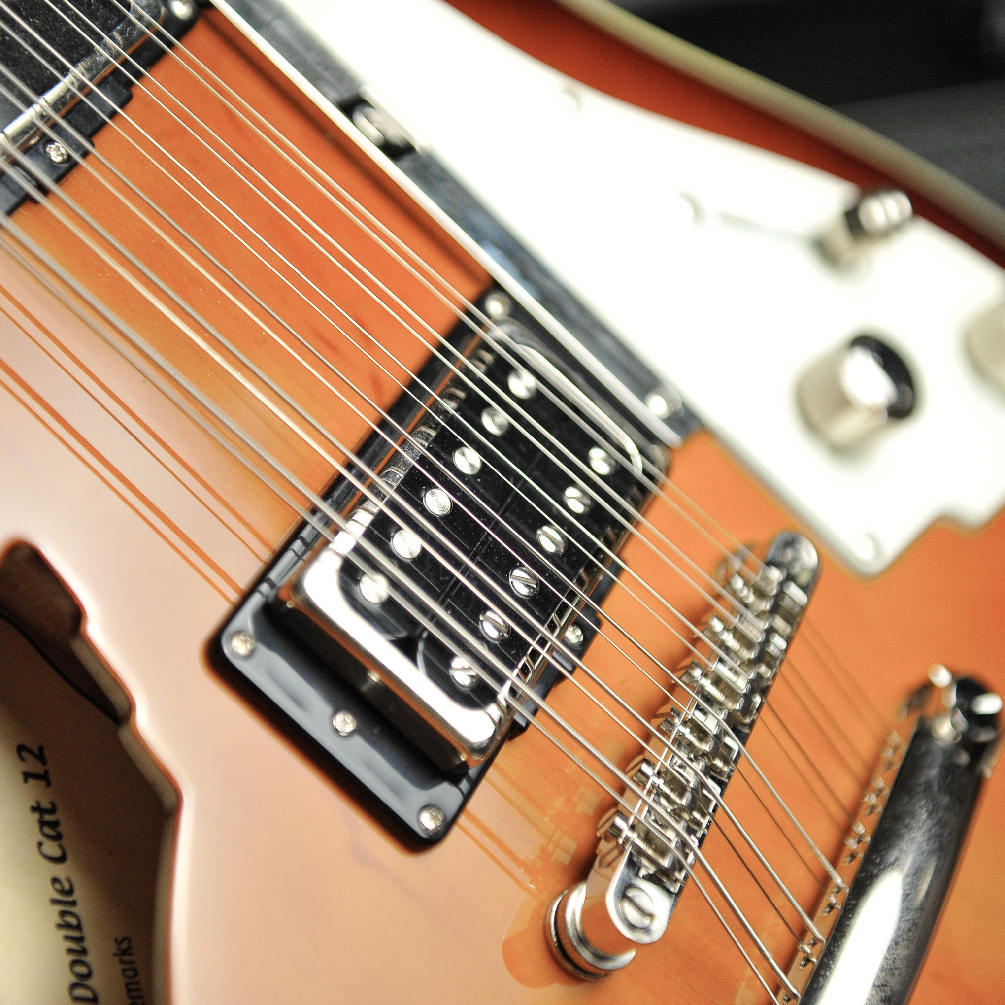 Duesenberg Double Kat 12 Semi Hollow 12-String Electric Guitar w/Case s/n232518 - Used