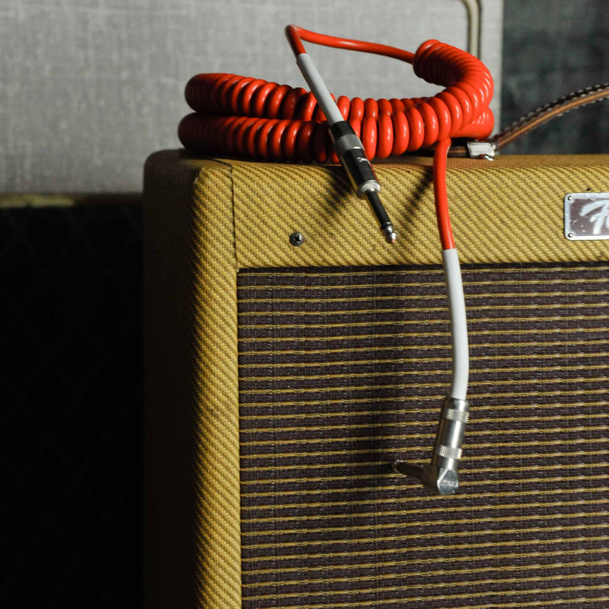 Fender Eric Clapton Tremolux Combo Celestion G12 65 - Used