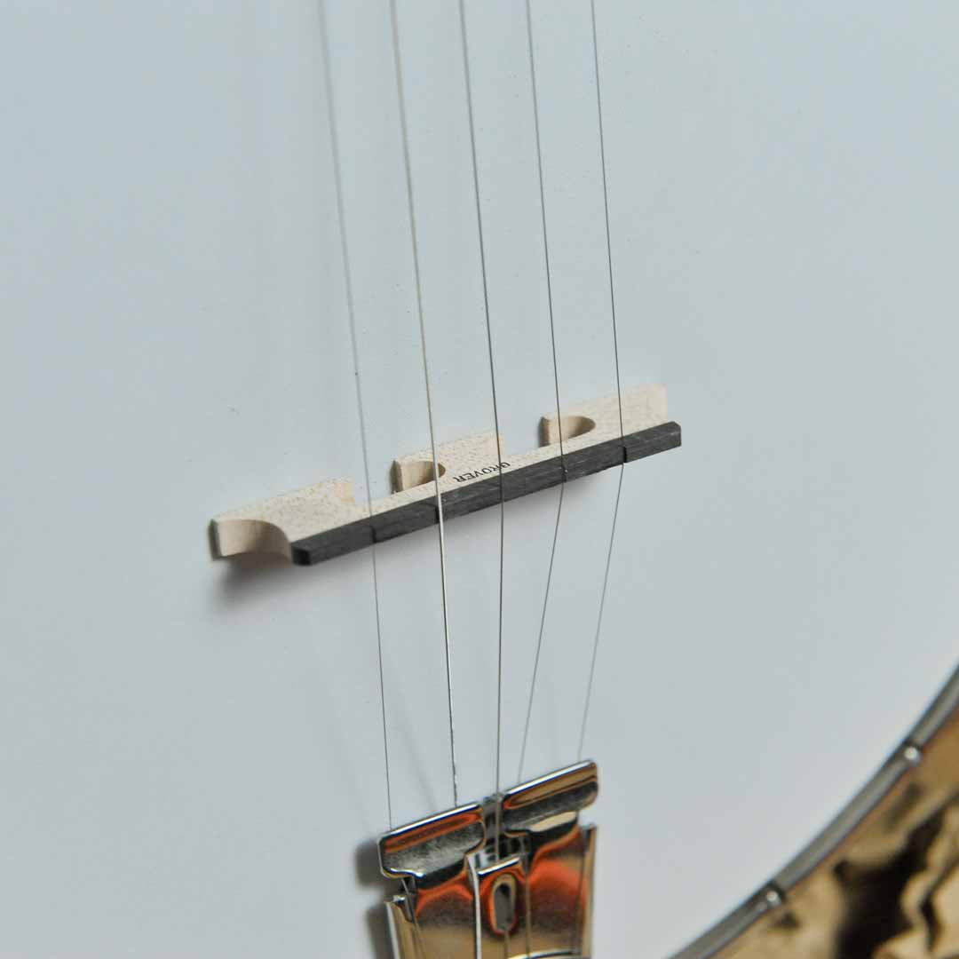 Gibson Mastertone RB250 Vintage 5-String Banjo w/Case- Used