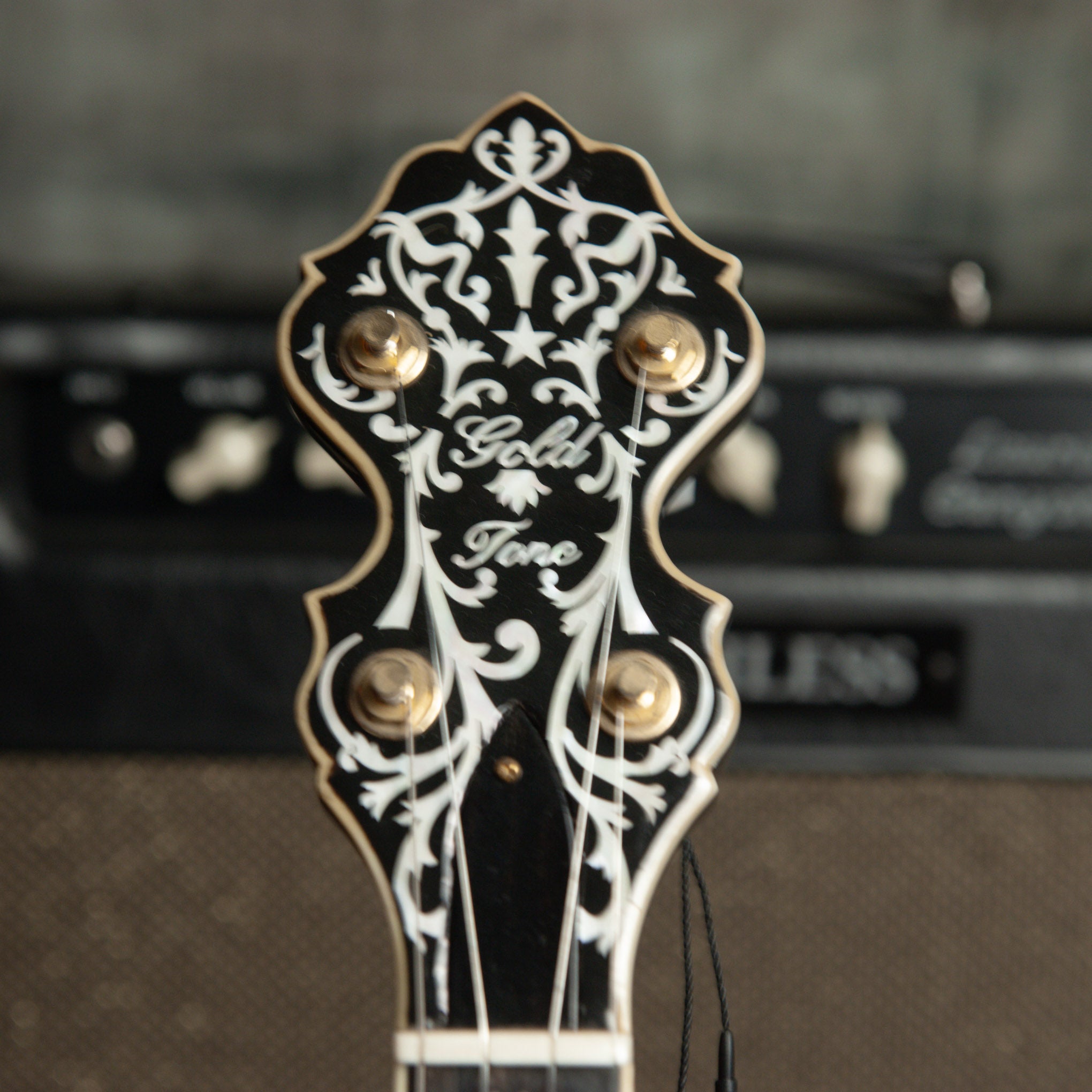 Gold Tone BC-350 + Bob Carlin Deluxe Banjo Open Back - Used