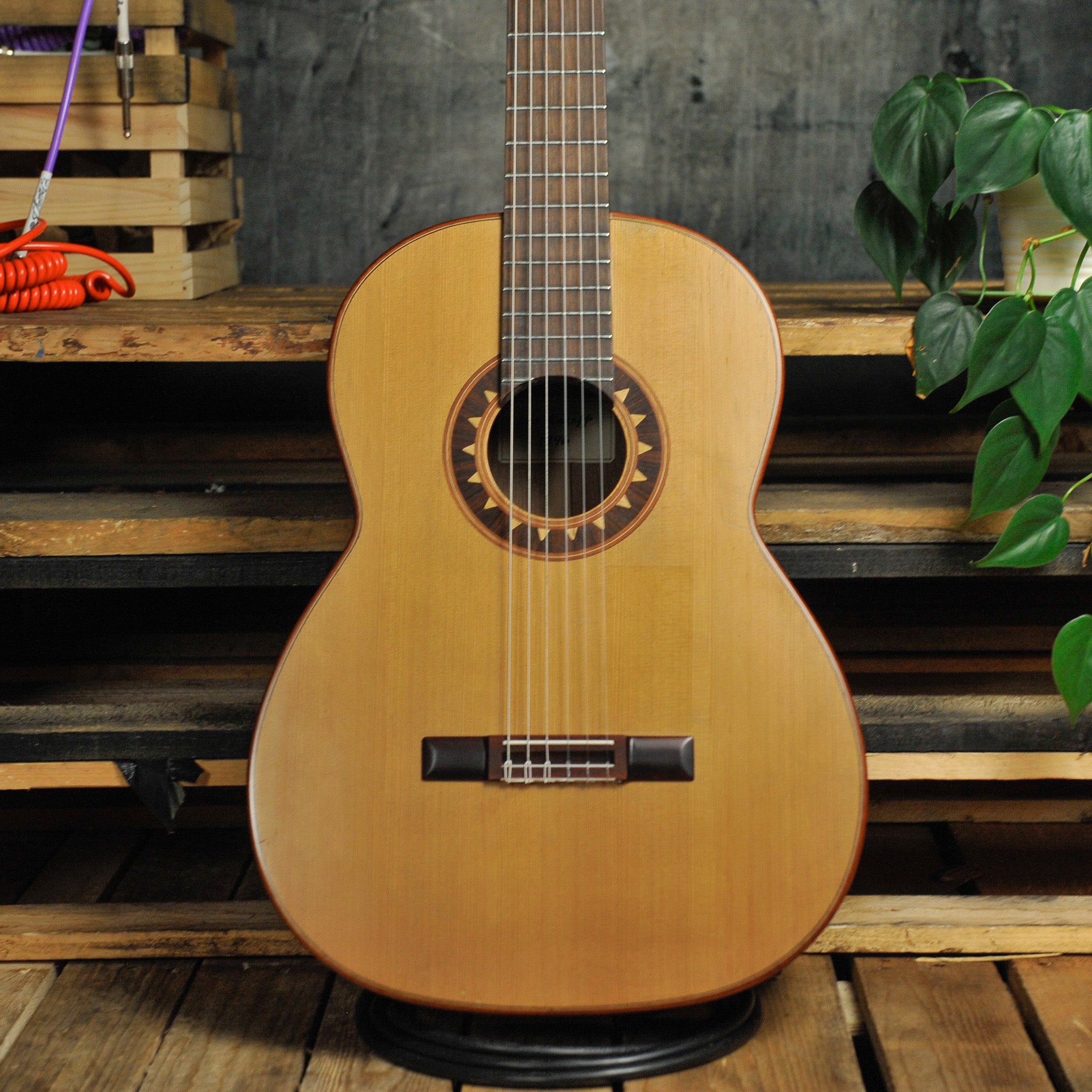 Ian Kneipp Lattice Braced Cedar/Rosewood Classical 1996 w/Case - Used