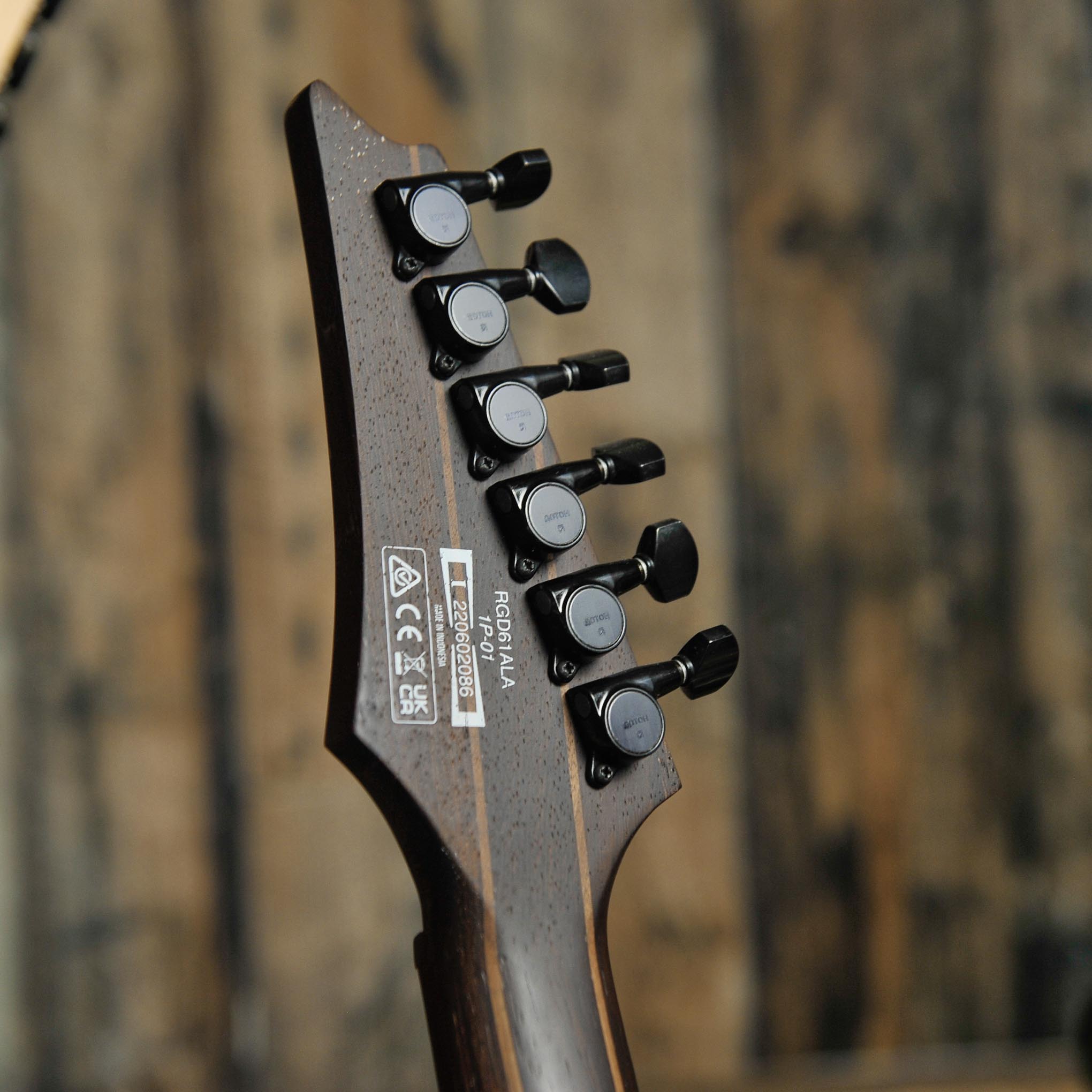 Ibanez RGD61ALA MTR Electric Guitar Midnight Tropical Rainforest - Used