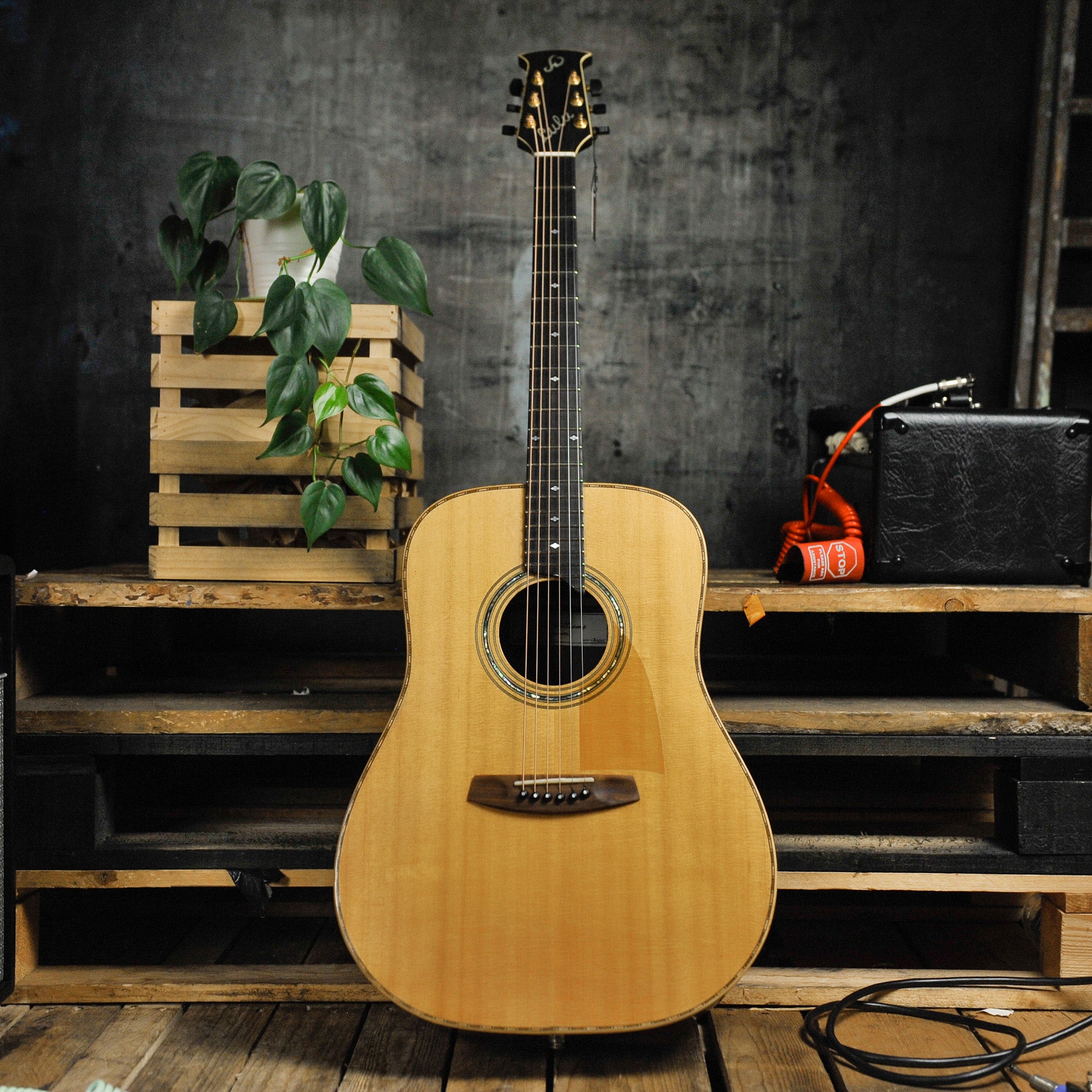 Jim Williams WD40 Dreadnought Acoustic Guitar w/Case S#3001C - Used