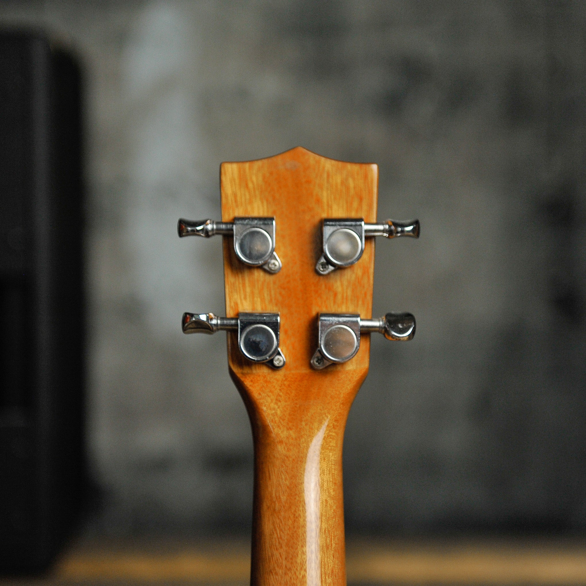 Kala KA-SSG Soprano Ukulele w/Bag - Used