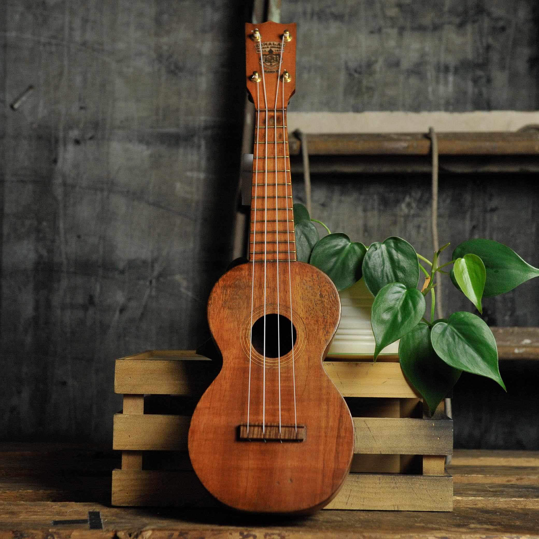 Kumalae Soprano Ukulele  - Used