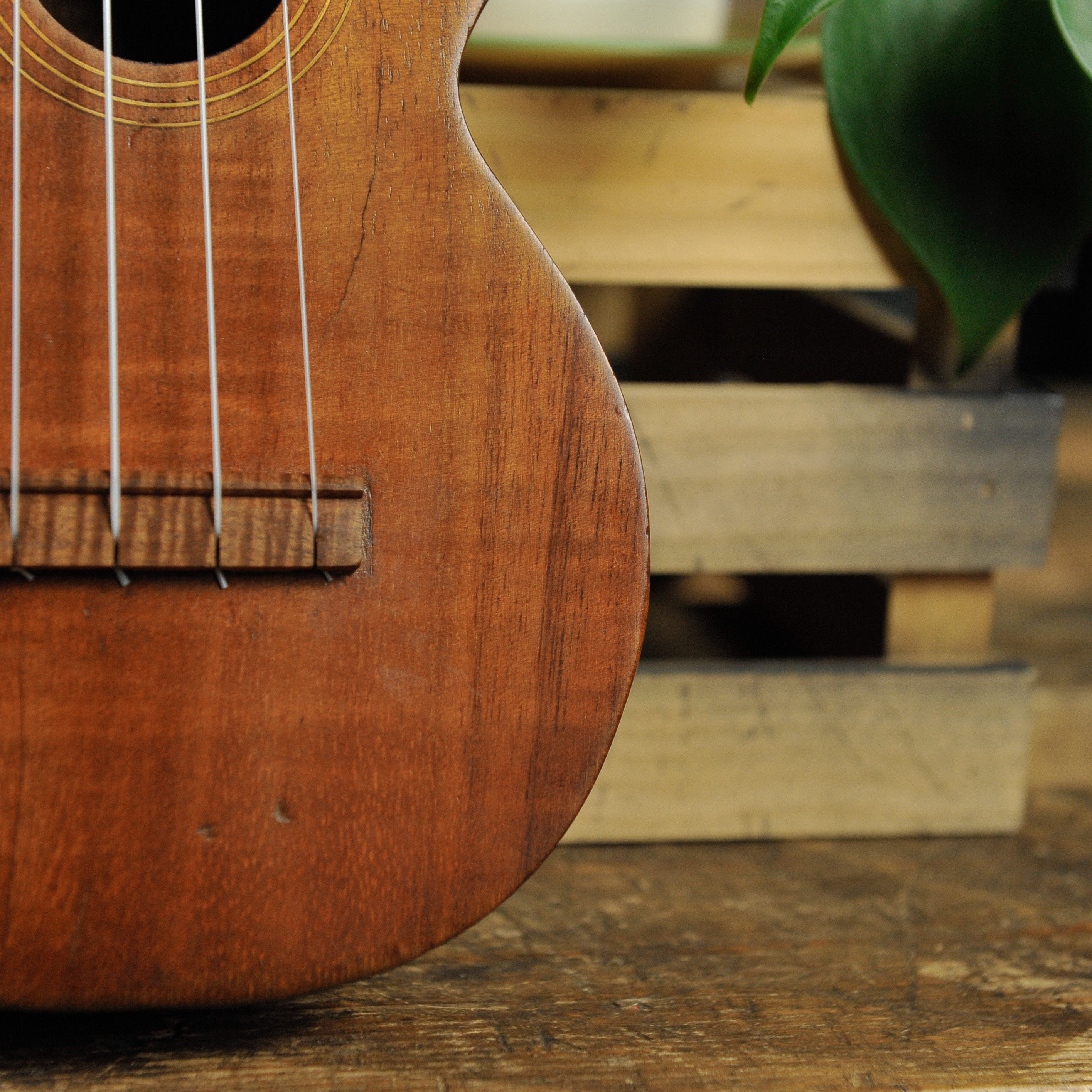 Kumalae Soprano Ukulele  - Used
