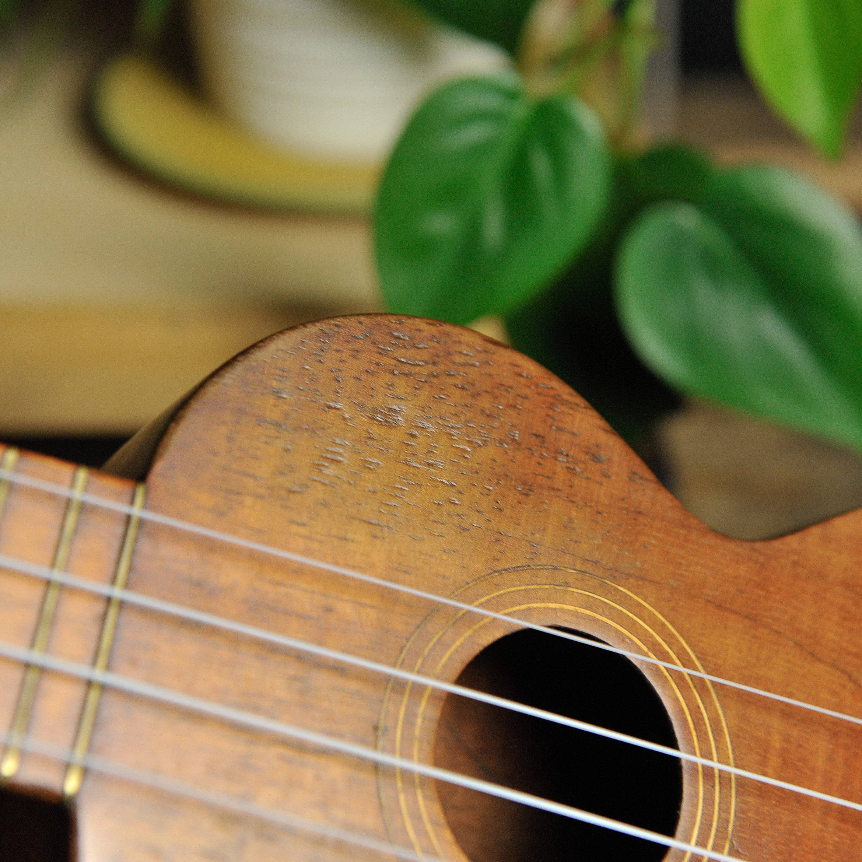 Kumalae Soprano Ukulele  - Used
