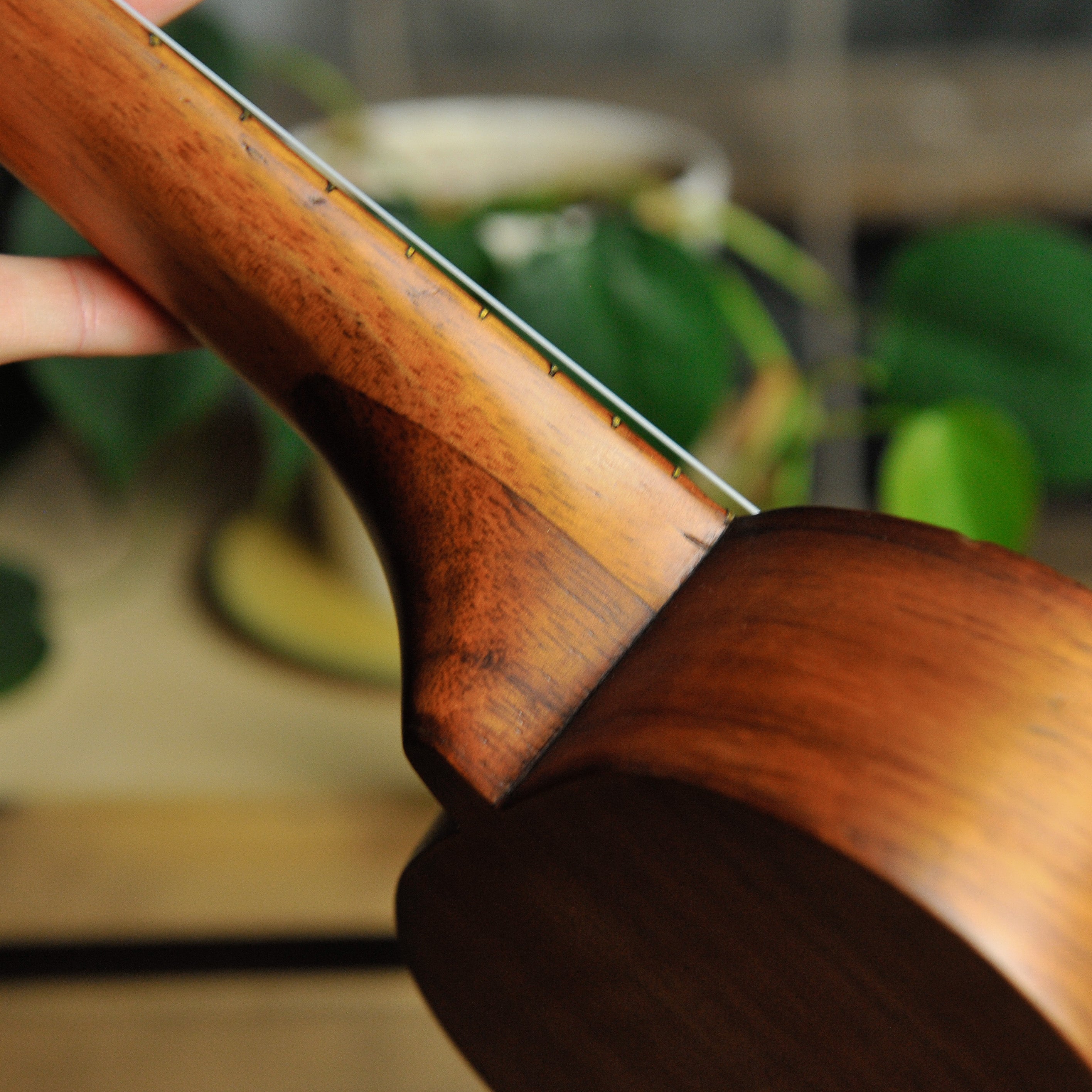 Kumalae Soprano Ukulele  - Used
